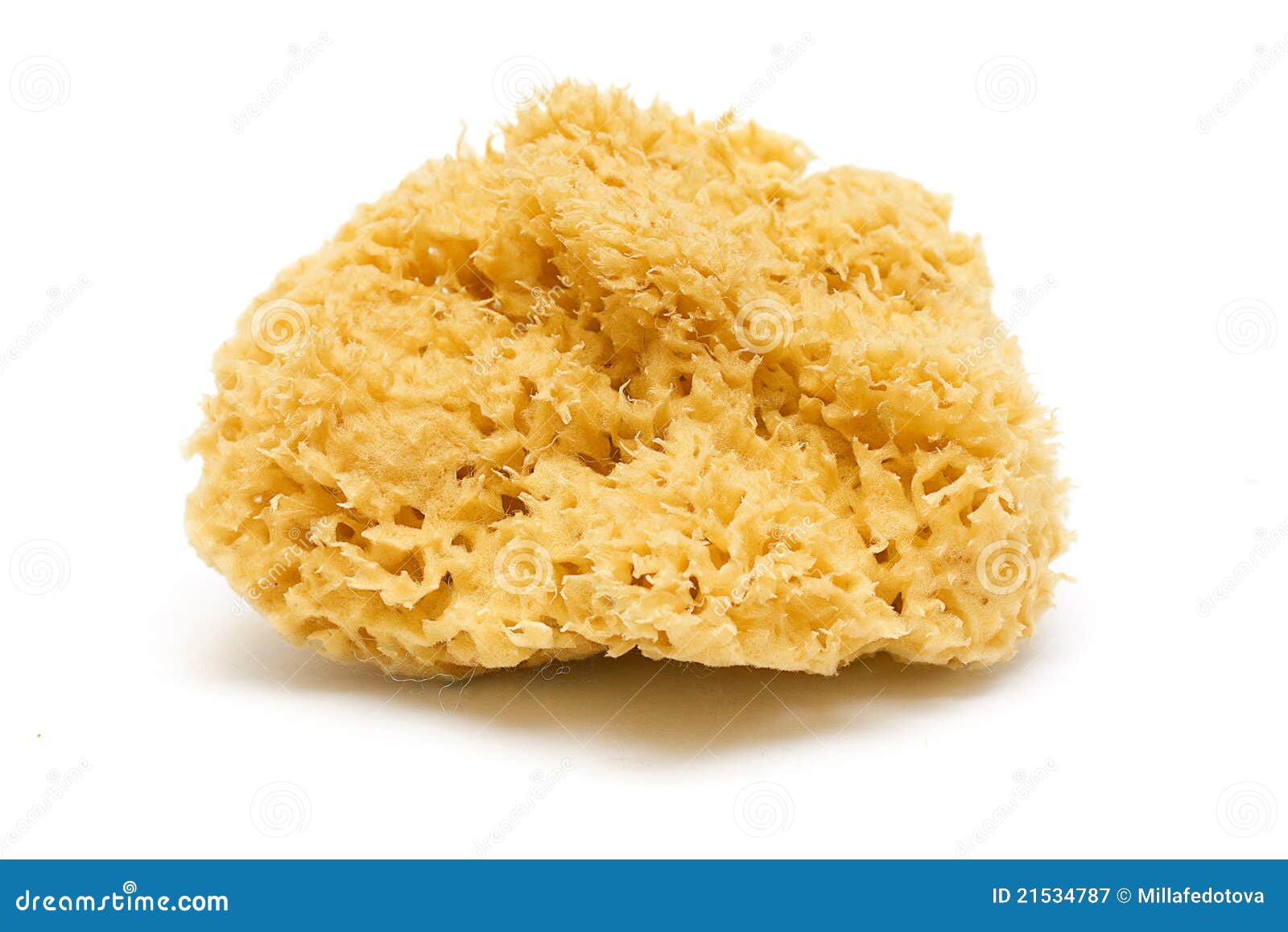 Natural bath sponge stock image. Image of absorbent, care 21534787