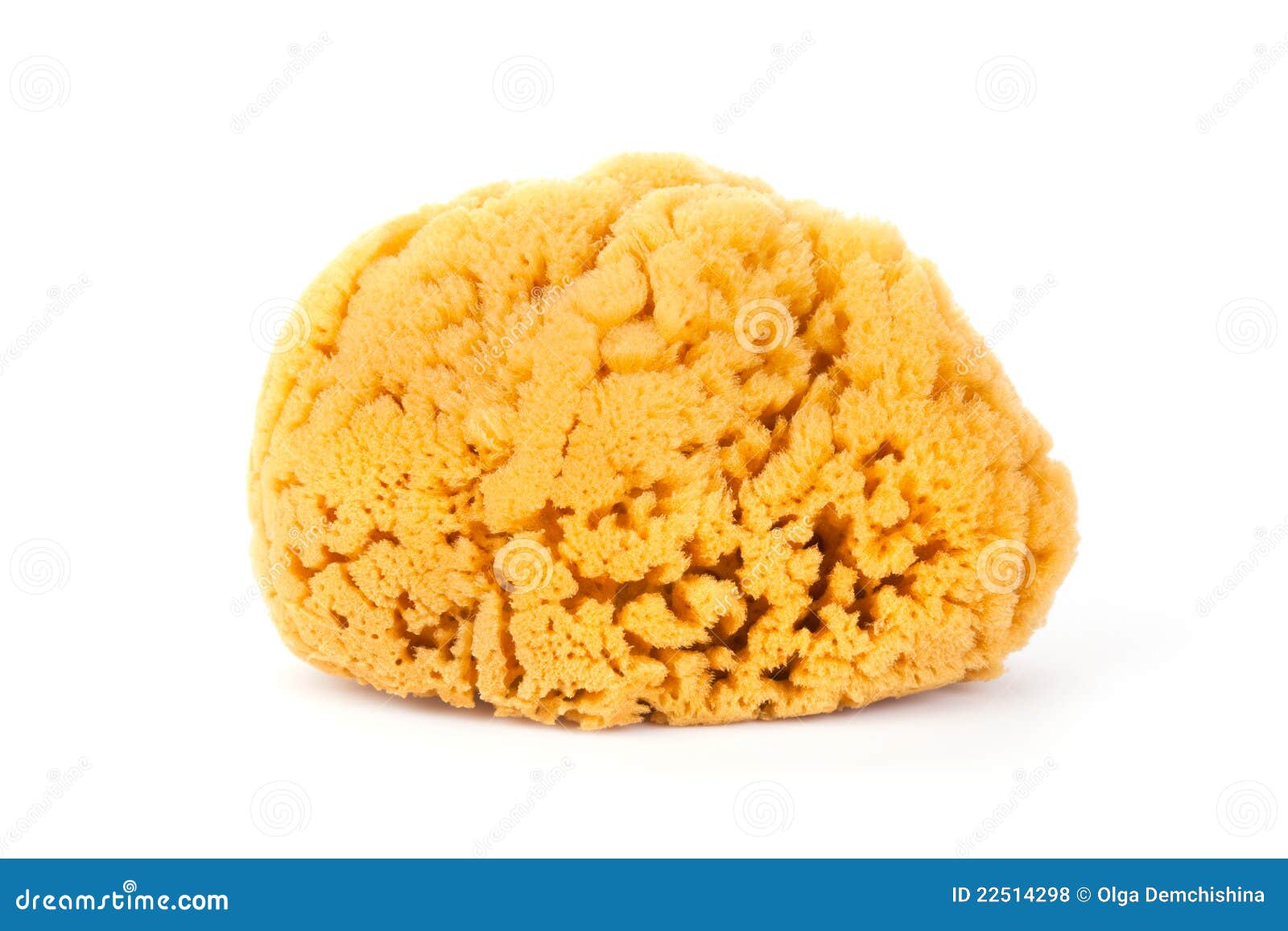 Natural bath sponge stock photo. Image of sponge, purity - 22514298