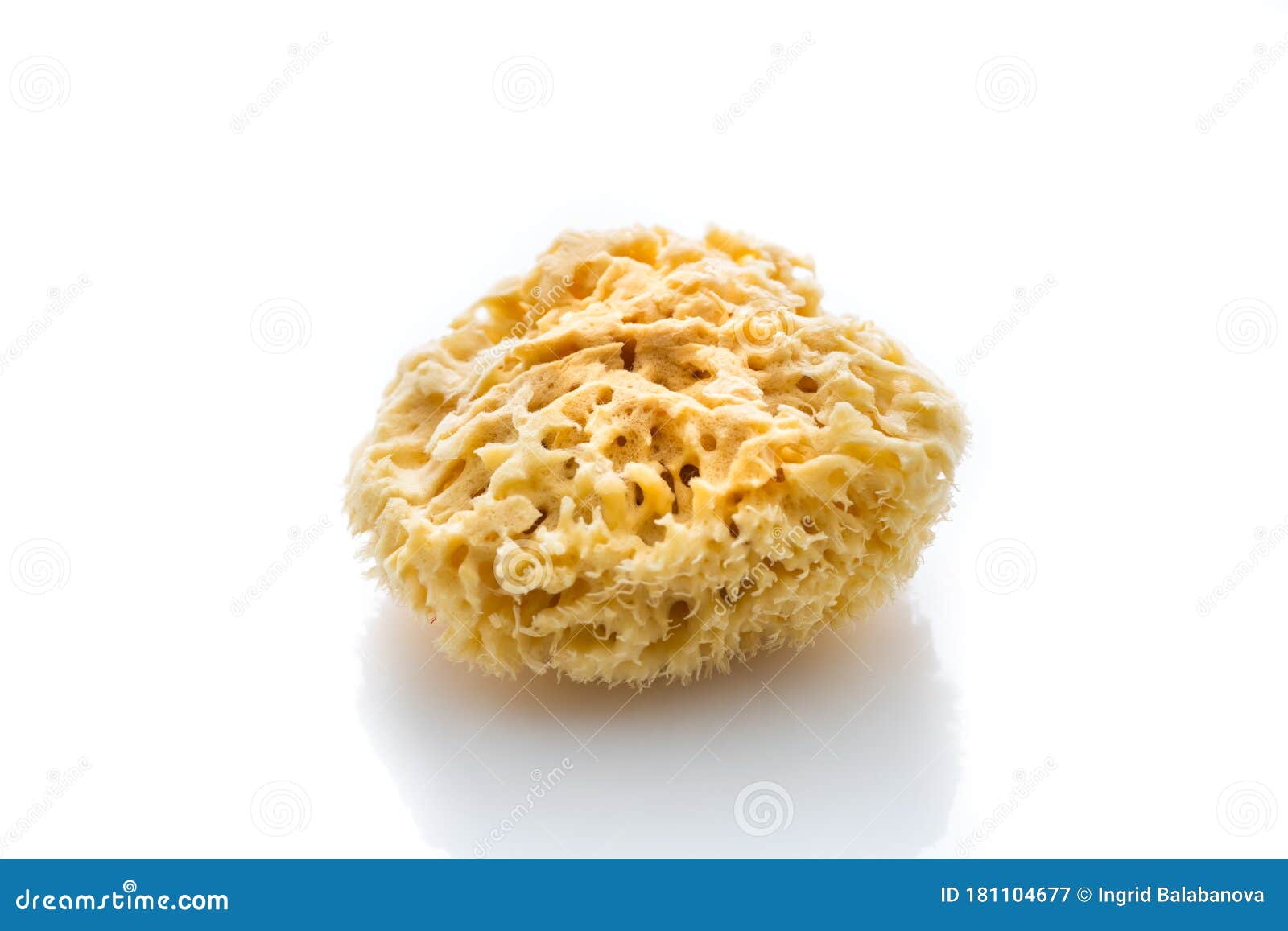 Natural Bath Sponge Isolated on White Stock Image Image of porous, healthy 181104677