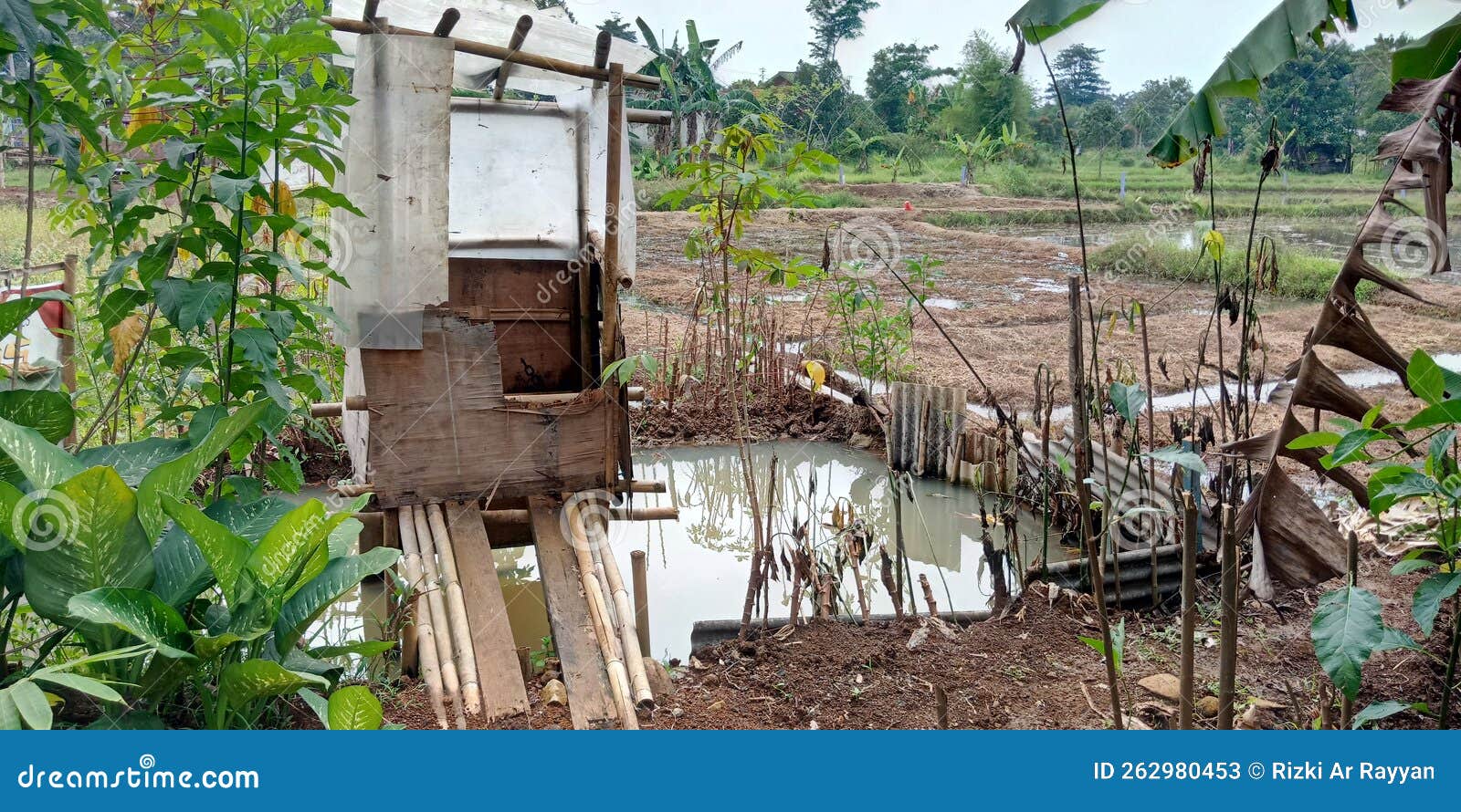 Natural Bathroom on the Edge of the Rice Fields Stock Image Image of