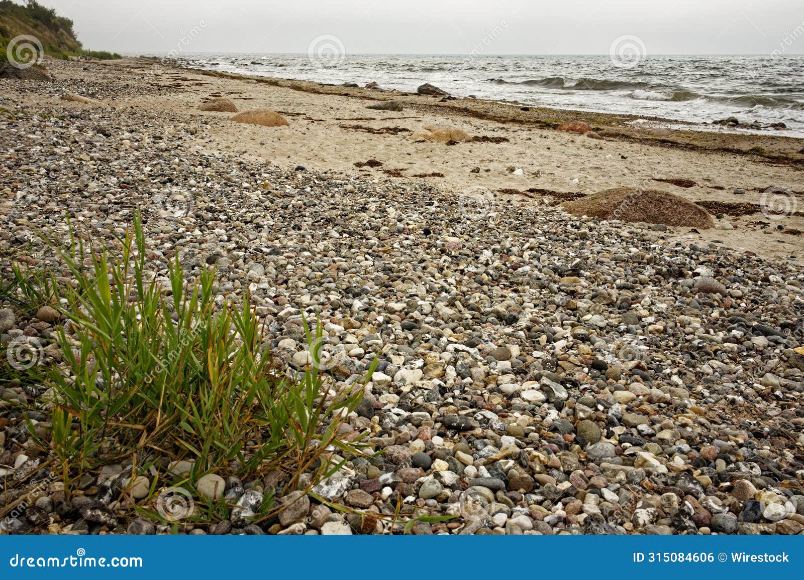 natural beach on the staberhuk cliffs, fehmarn island, baltic sea, germany.