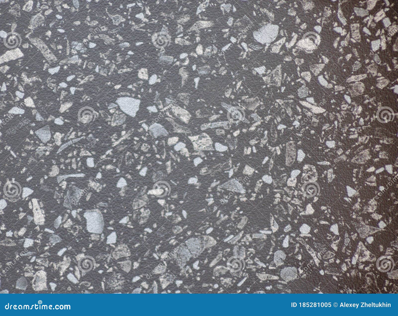 Natural Black Granite with White Spots, Closeup Texture of Polished