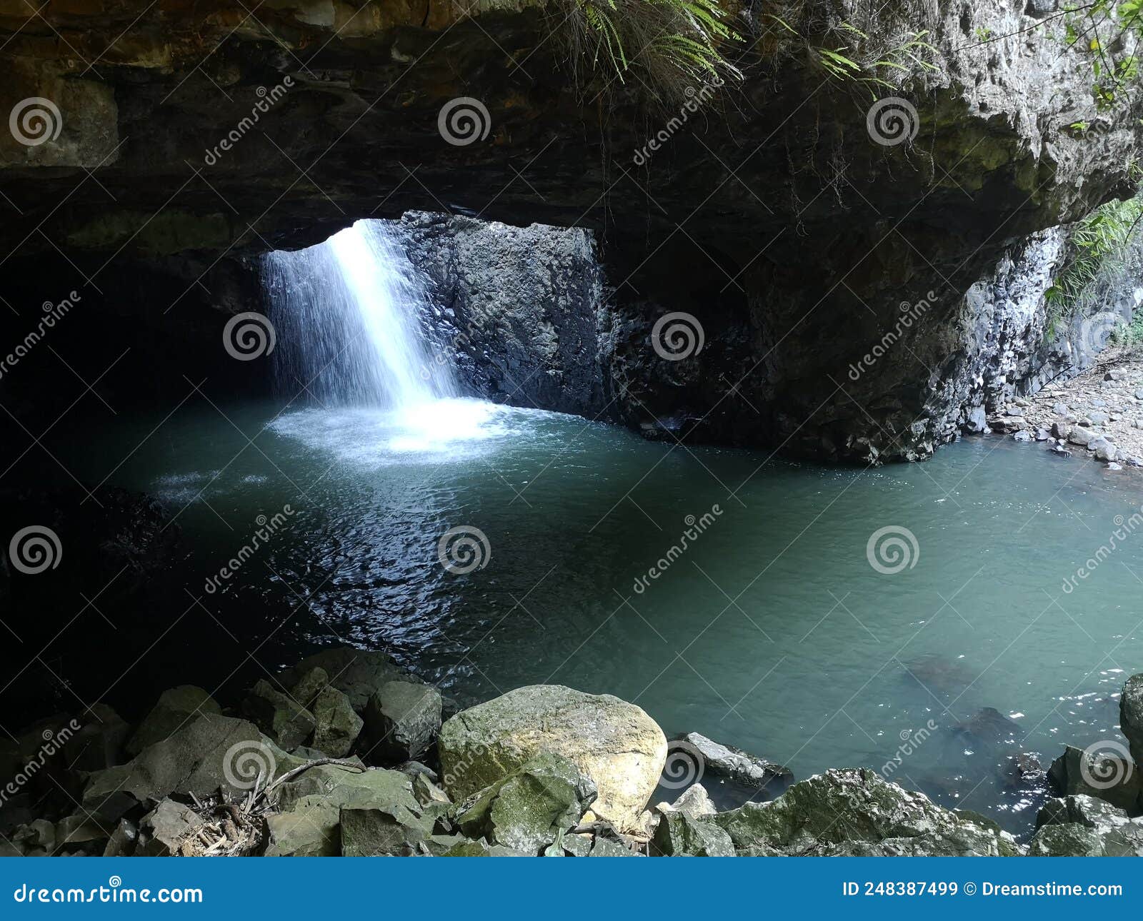 Natural Bridge in the Gold Coast Hinterland Stock Image Image of rock