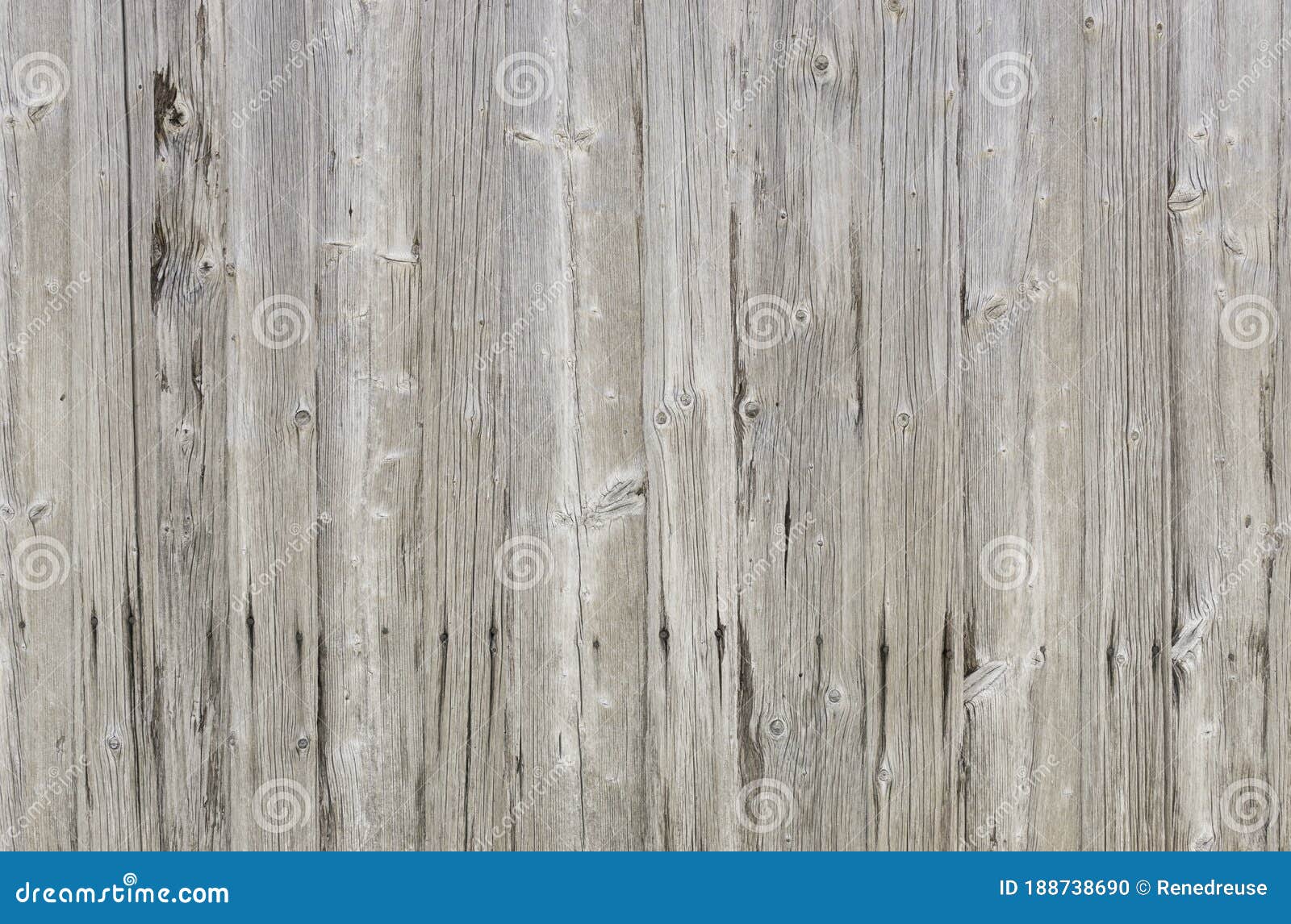 natural bright grey barn wood wall. wall texture background pattern.