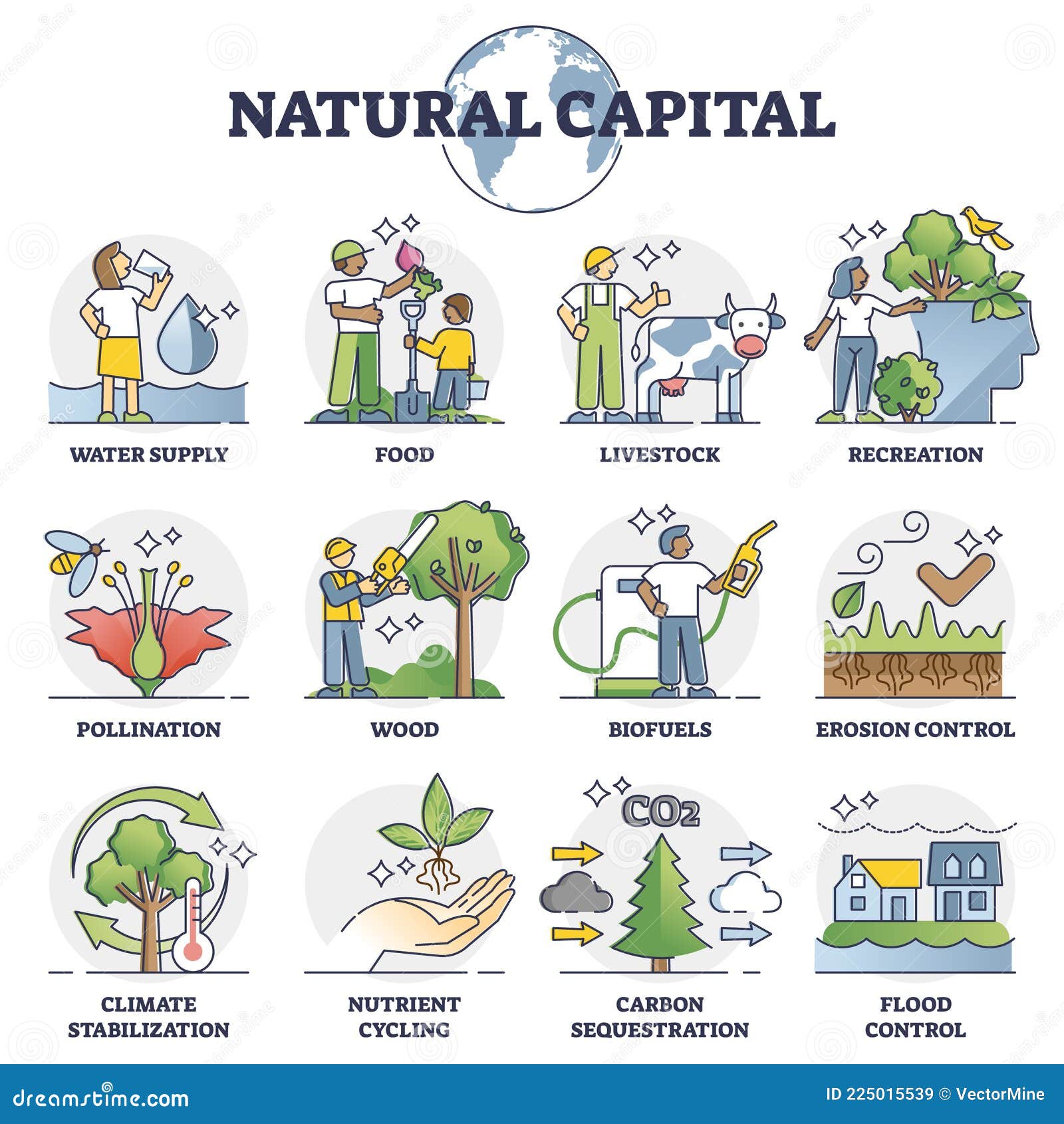 natural capital as environmental resources and assets outline collection