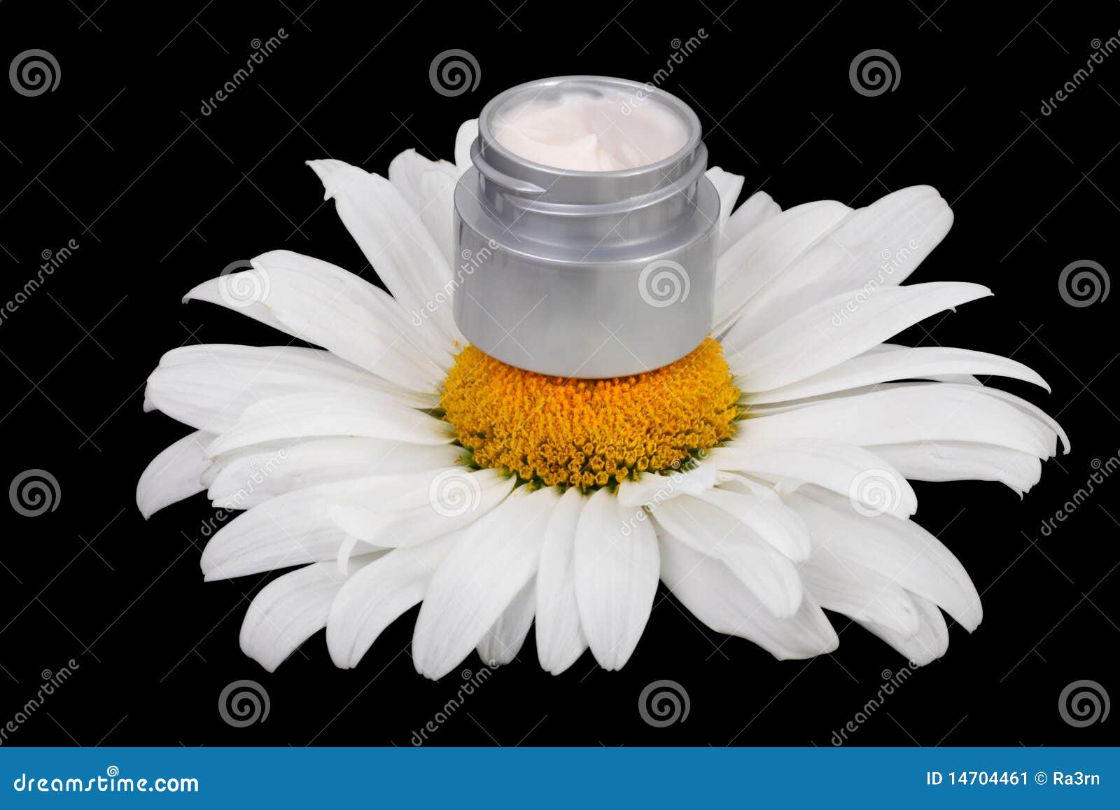 Natural cream daisies stock image. Image of mask, treatment 14704461