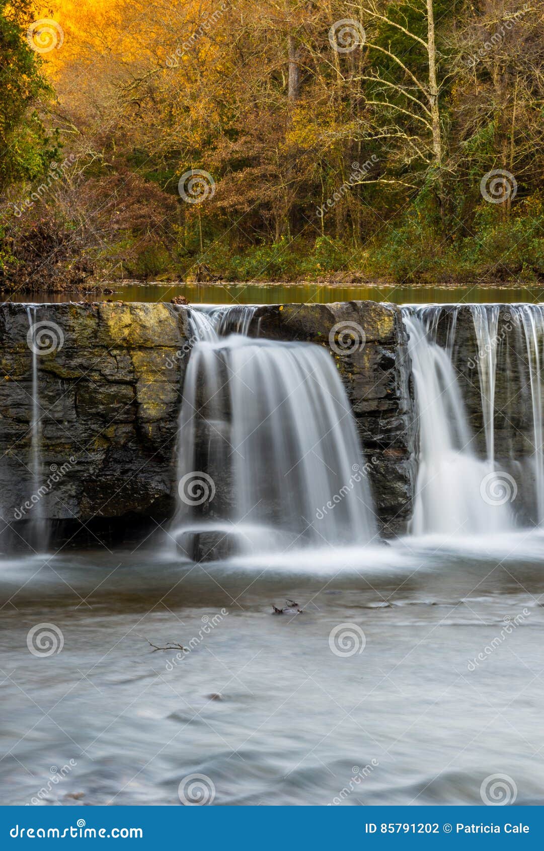Natural Dam stock photo. Image of water, arkansas, leaves 85791202