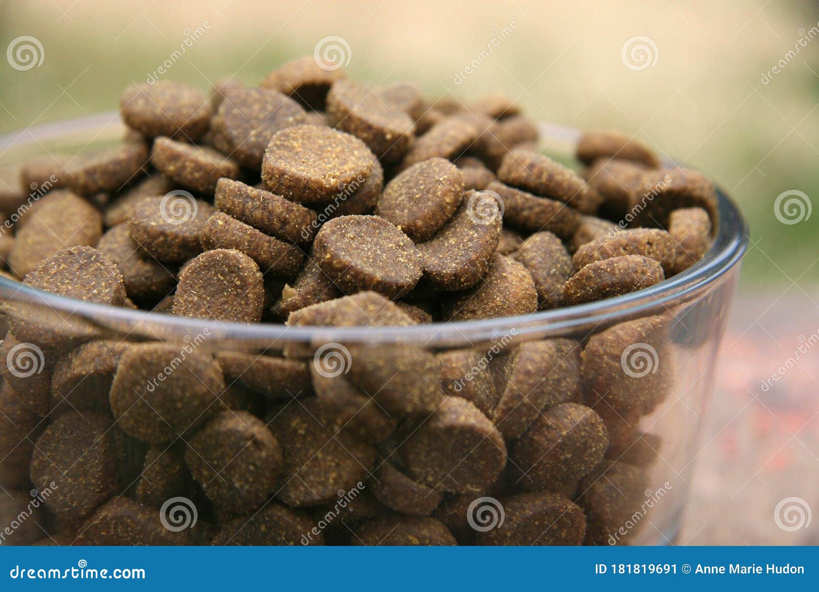 Natural Dog Food in a Bowl Kibble Pet Nutrition Food Stock Image - Image of  outdoor, organic: 181819691