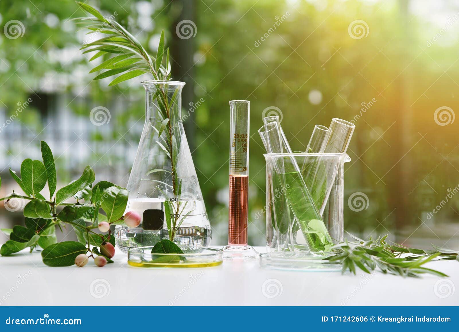 natural drug research, natural organic and scientific extraction in glassware, alternative green herb medicine.