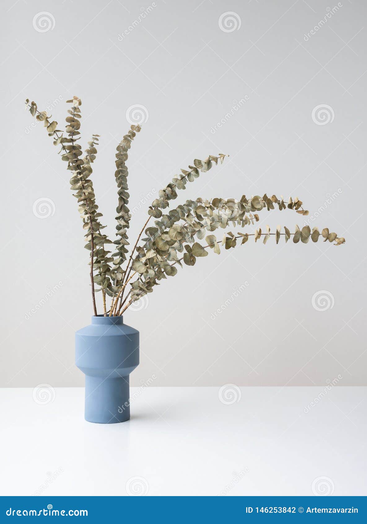 Natural Dry Eucalyptus Branches in Blue Ceramic Vase Stock Photo