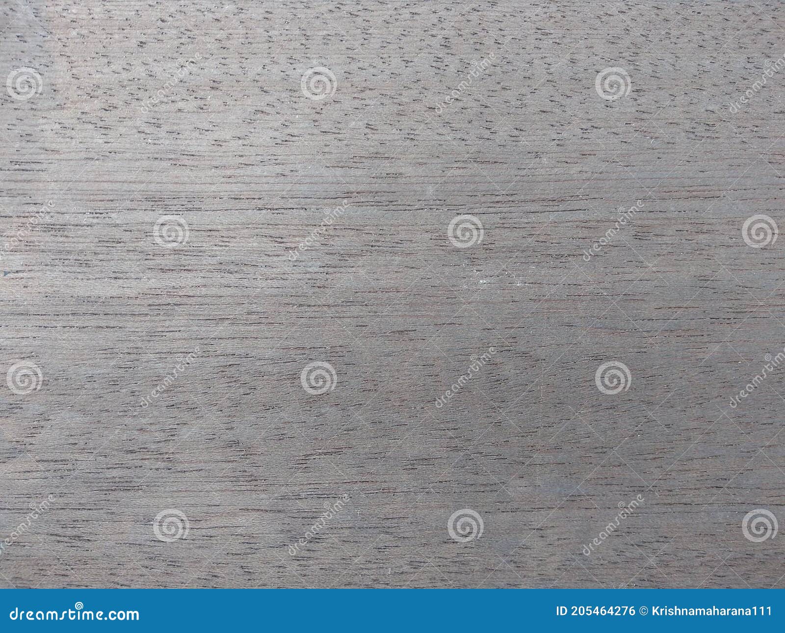 natural dyed platino gray wood texture background. dyed platino gray veneer surface for interior and exterior manufacturers use