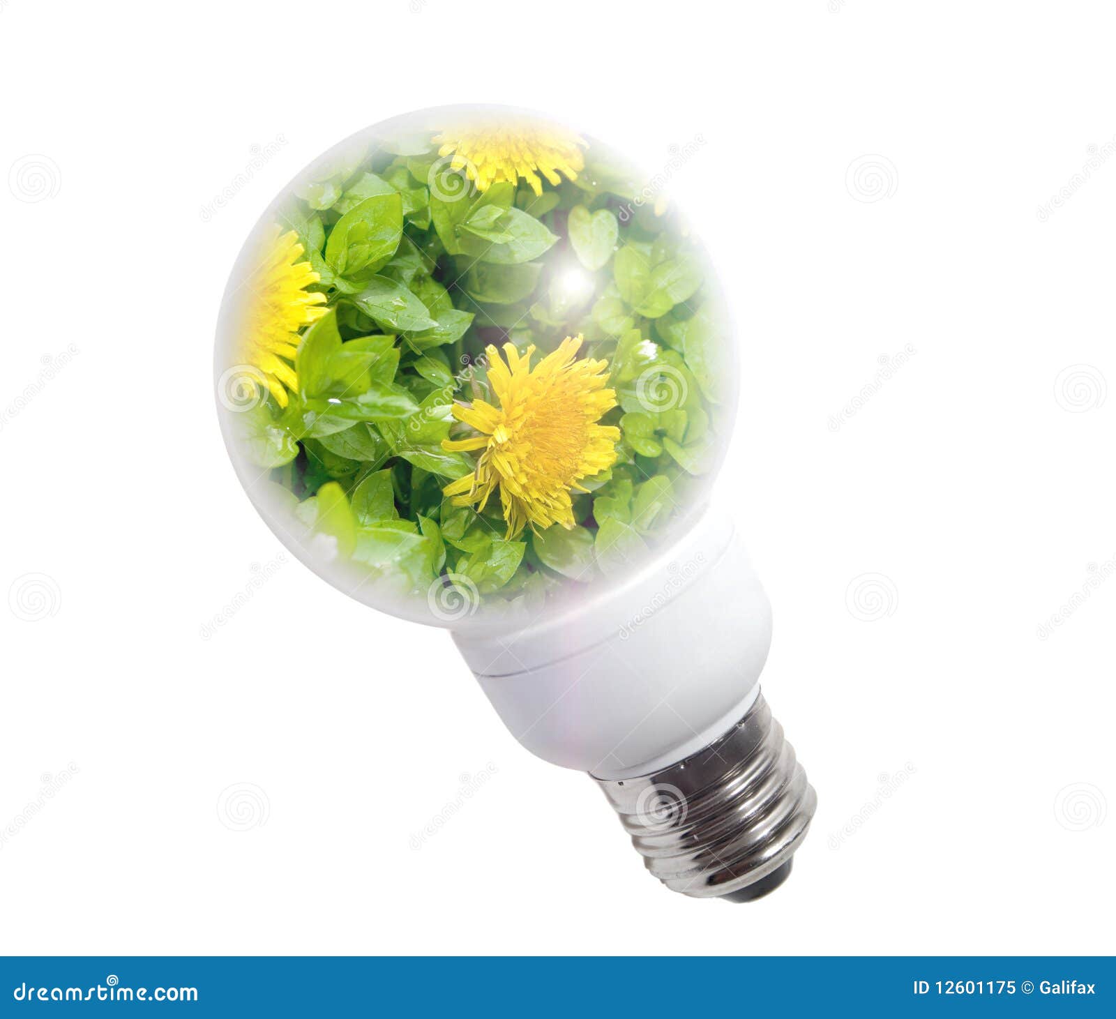Natural Energy Concept. Royalty Free Stock Photo - Image: 12601175