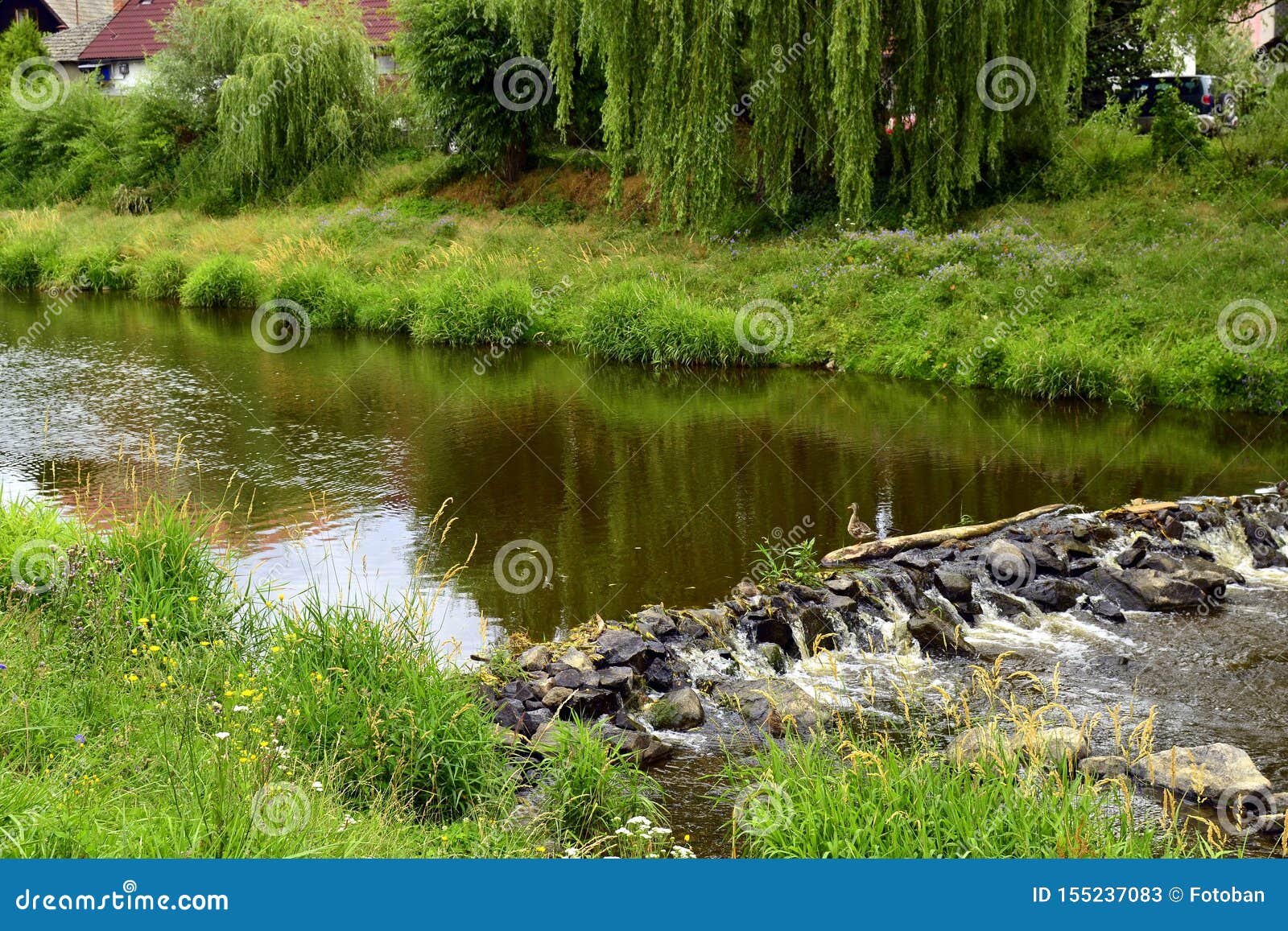 natural stone dam on the river