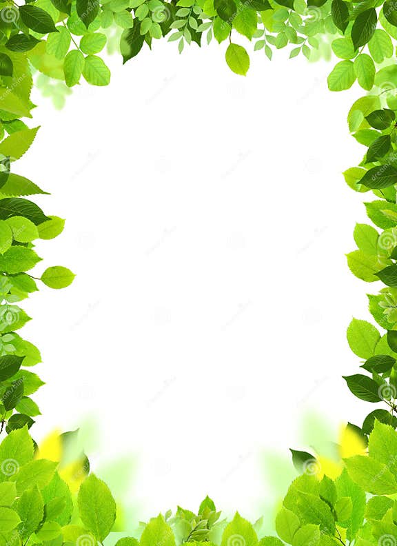 Natural frame and template stock illustration. Illustration of field ...