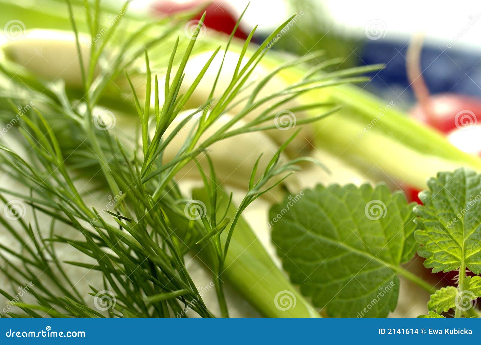 Natural fresh herbs stock photo. Image of onion, melissa 2141614