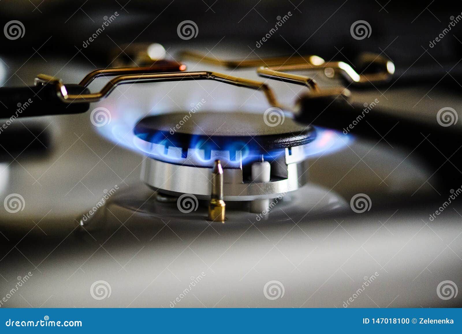 Natural Gas Burning on Kitchen Gas Stove Stock Photo Image of butane