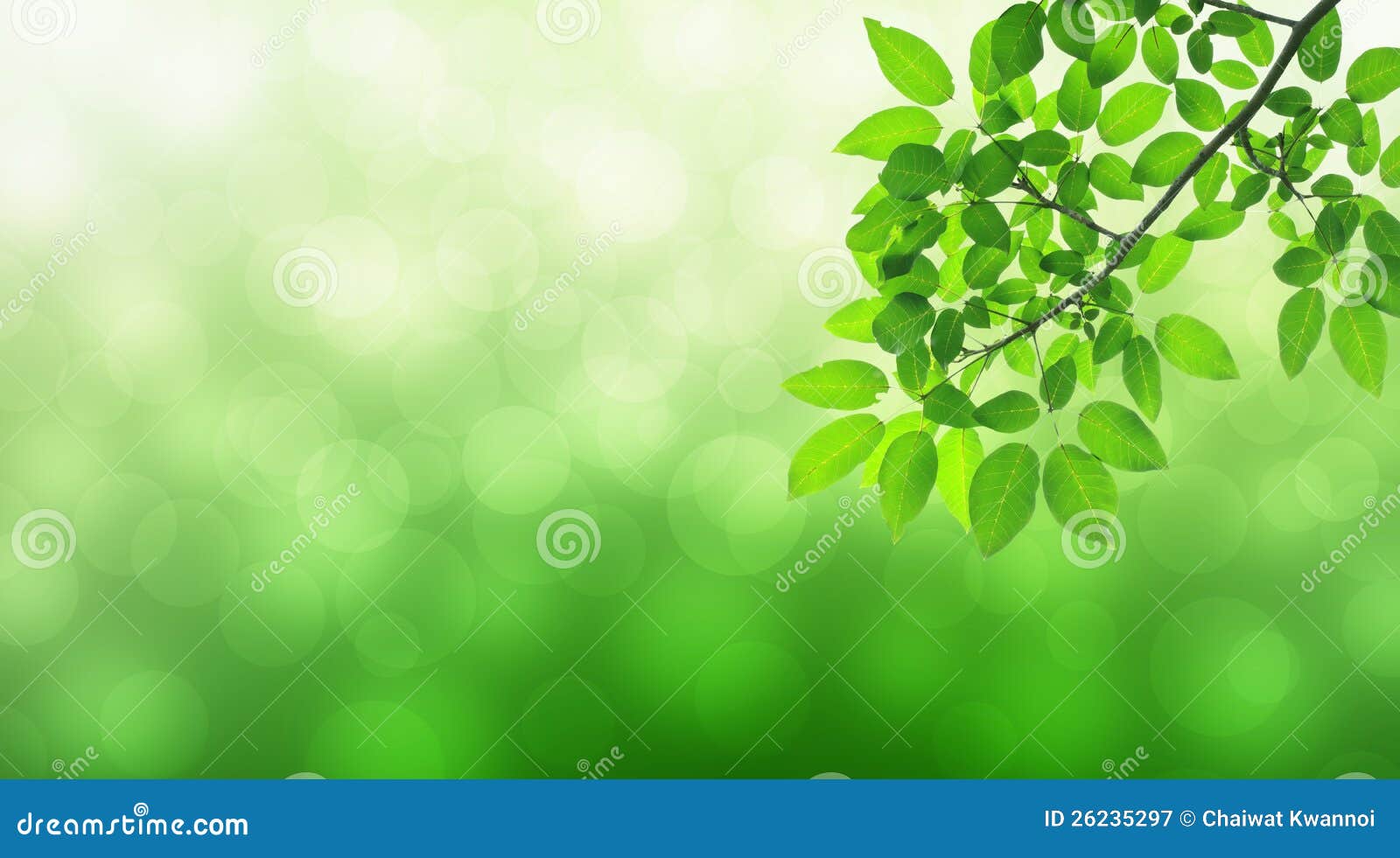 Natural green background stock image. Image of isolated 26235297