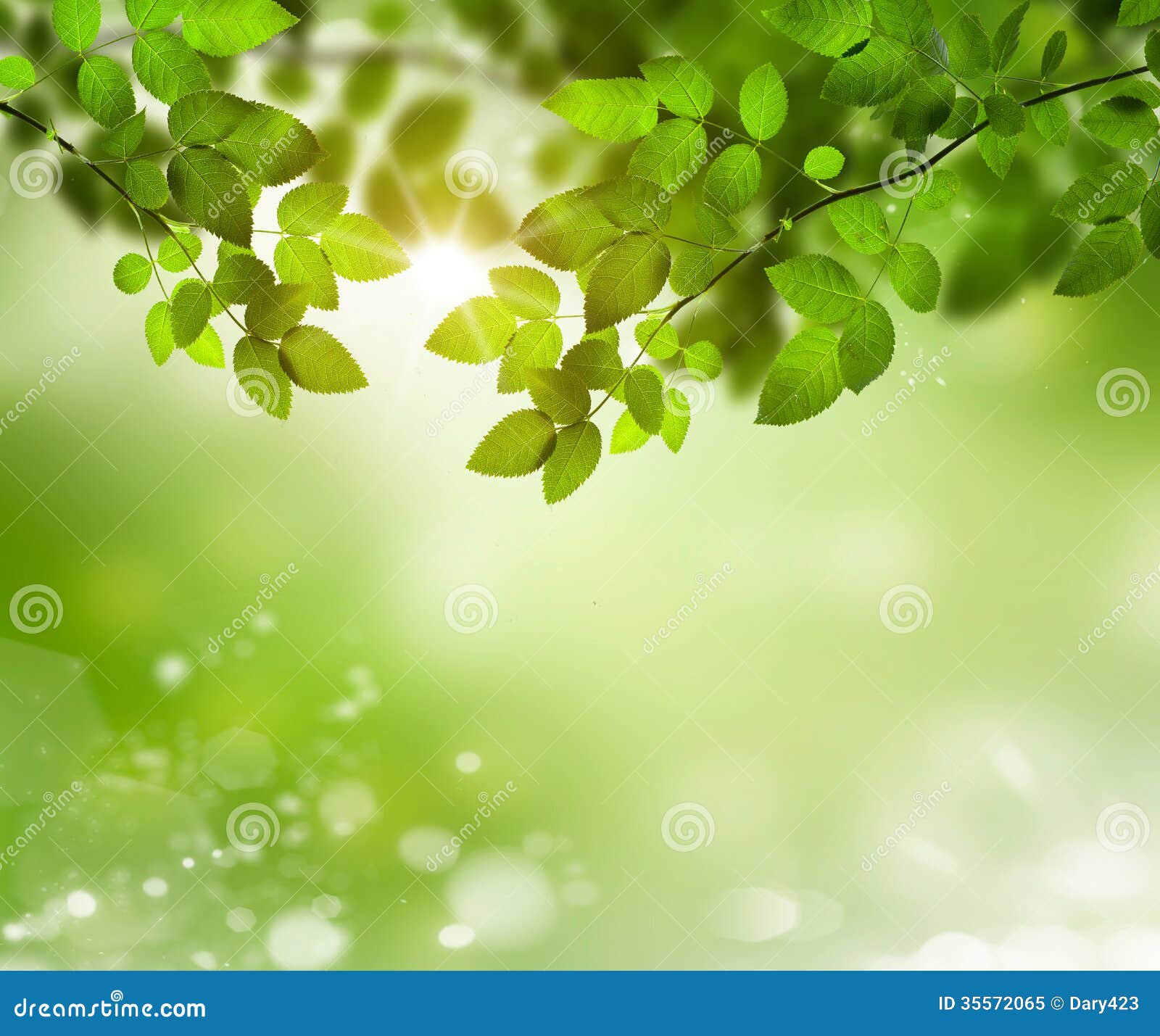 Natural Green Background With Selective Focus Stock Image Image