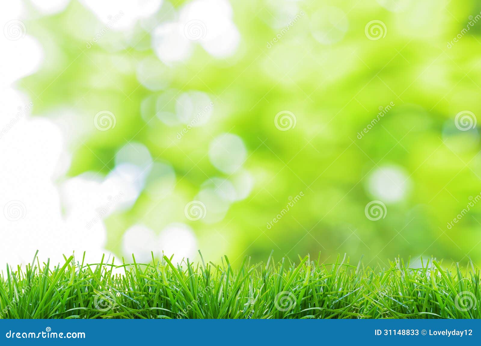 Spring Nature Background with Grass and Blue Sky Stock Photo  Image of  field blue 148432076