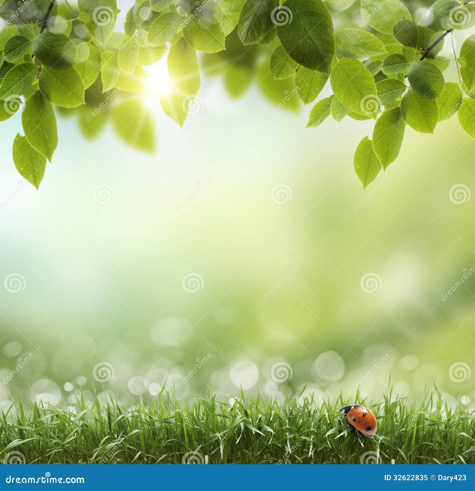 Natural Green Background With Selective Focus Ladybug Stock