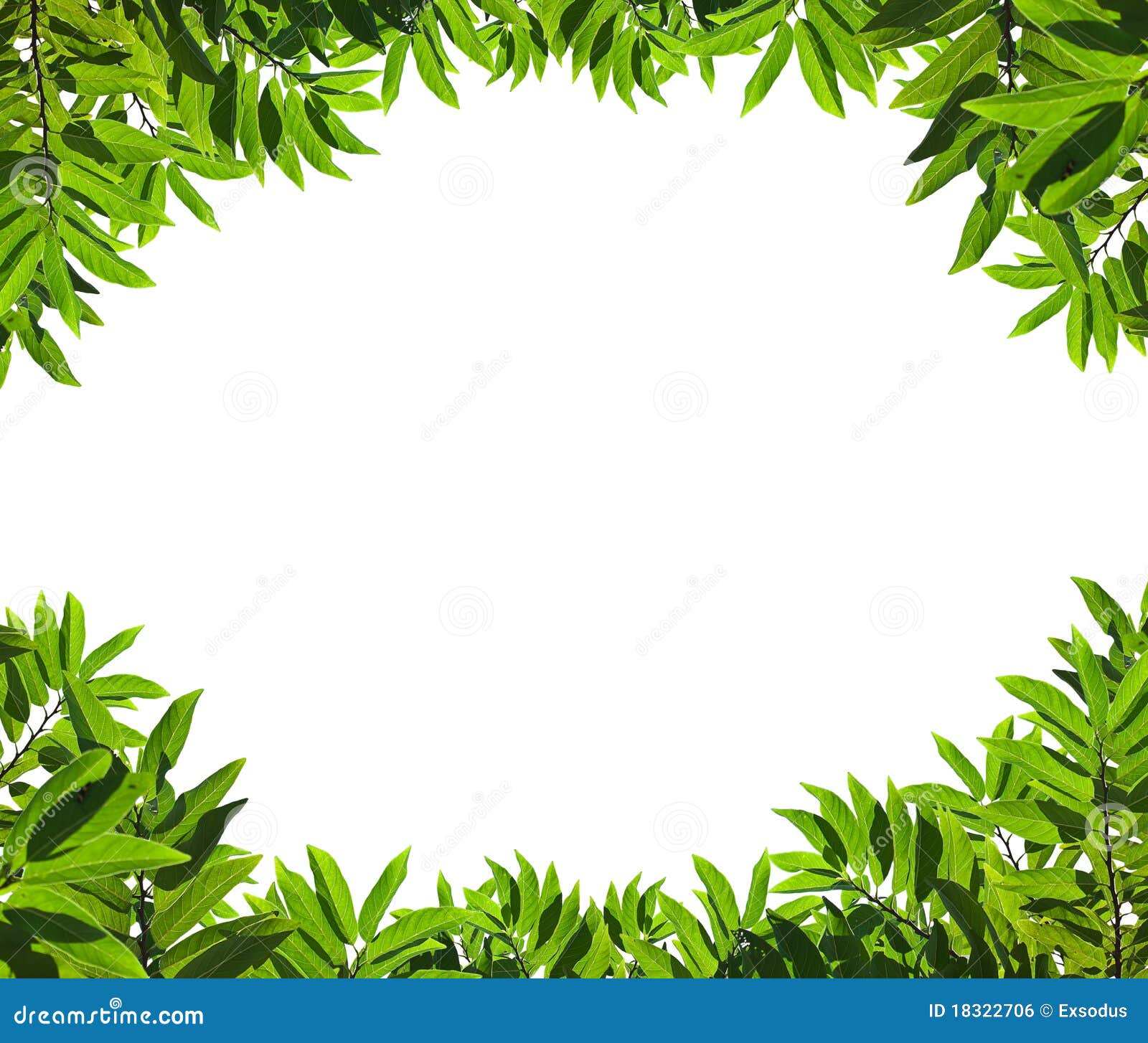 free nature clipart borders - photo #26