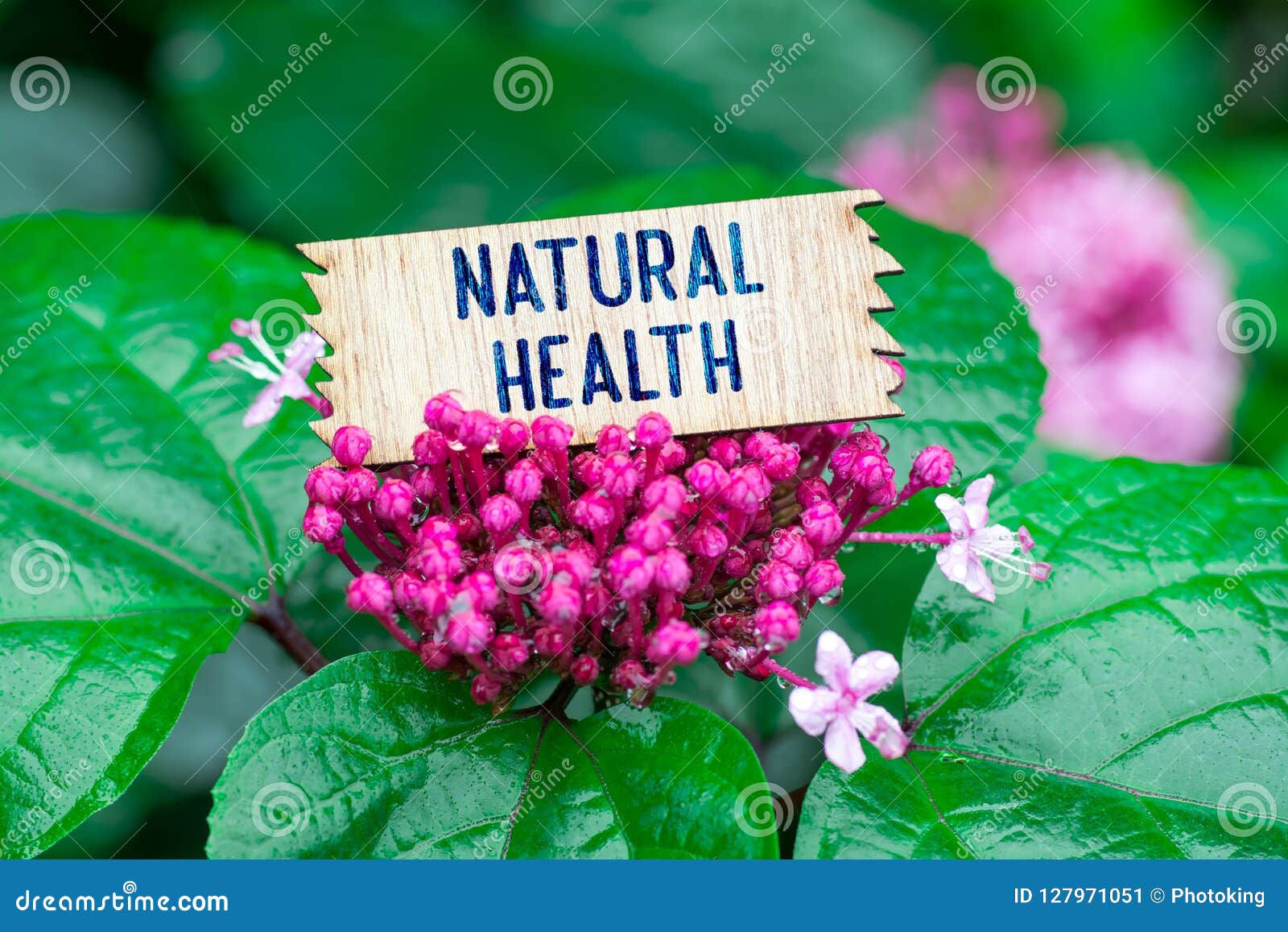 natural health in wooden card