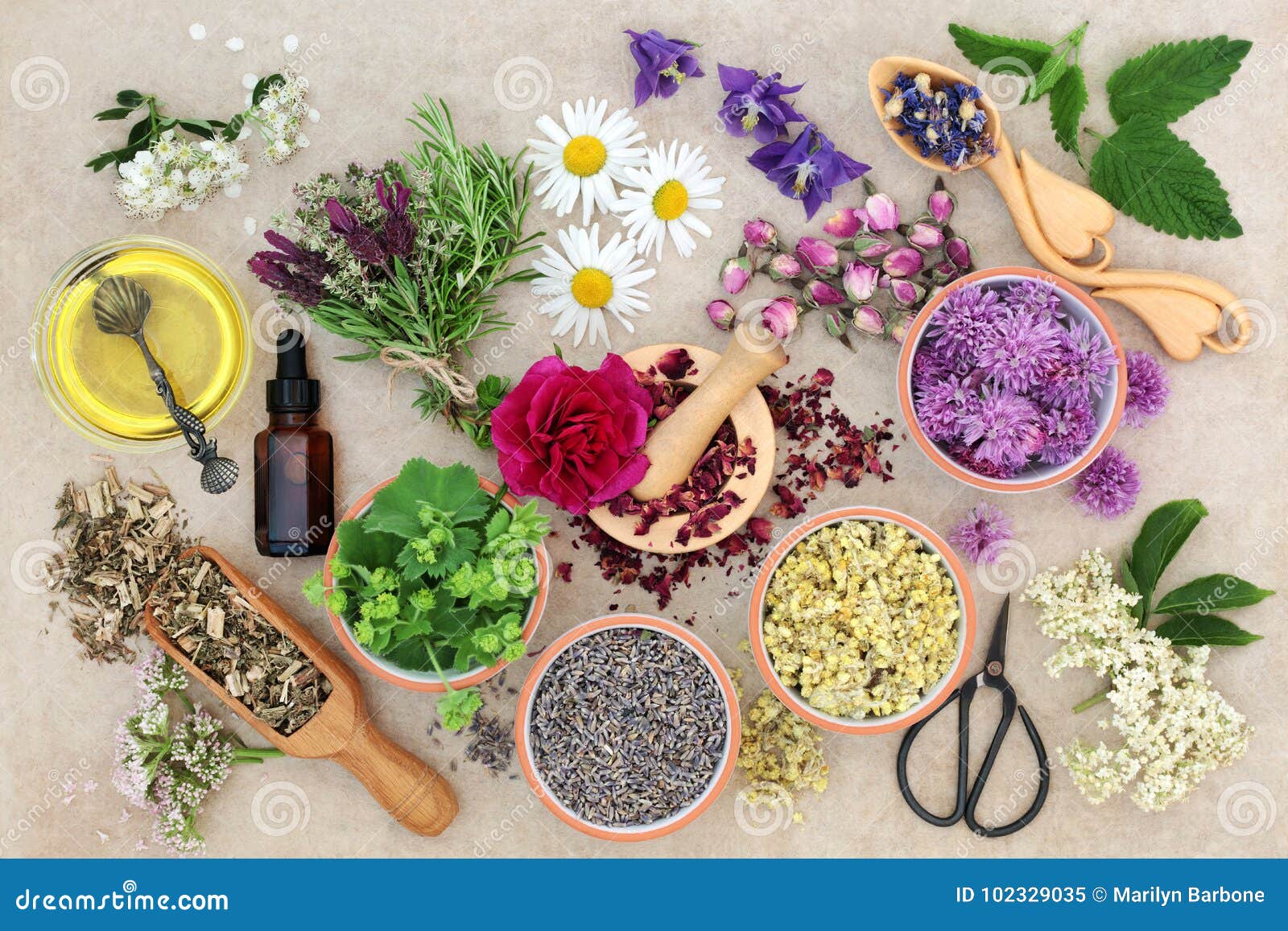 natural herbal medicine