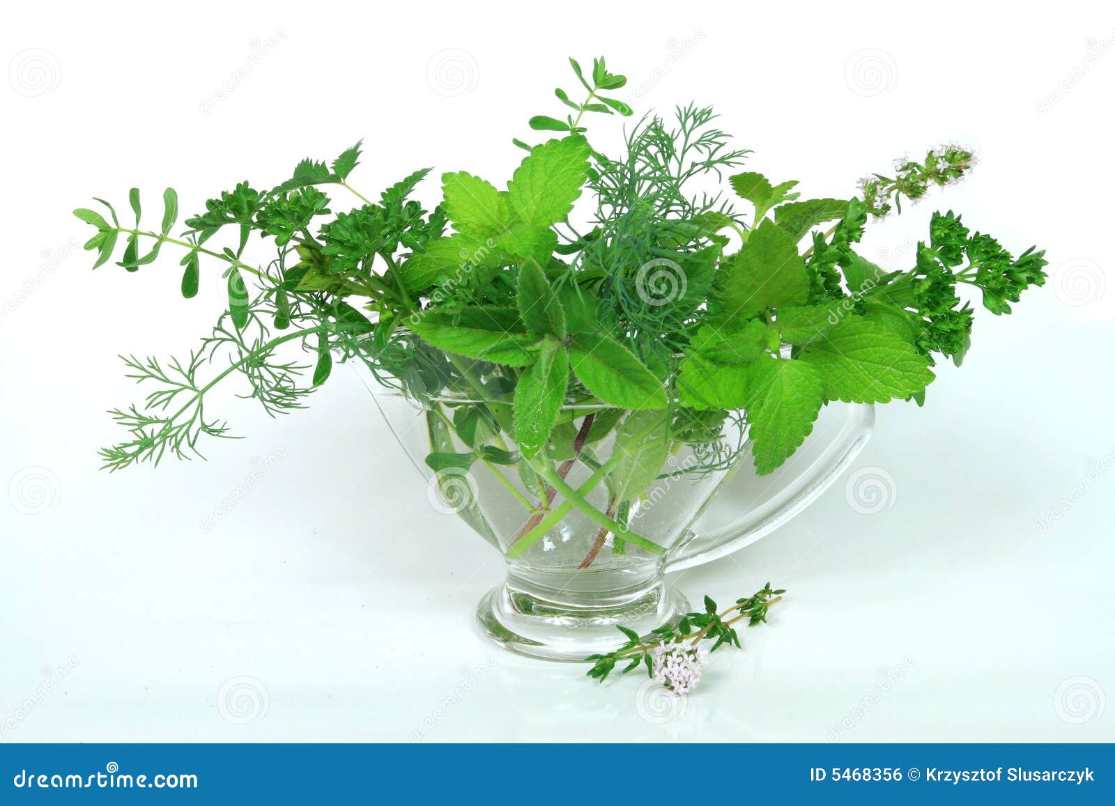 Natural herbs stock photo. Image of john, balm, oregano 5468356
