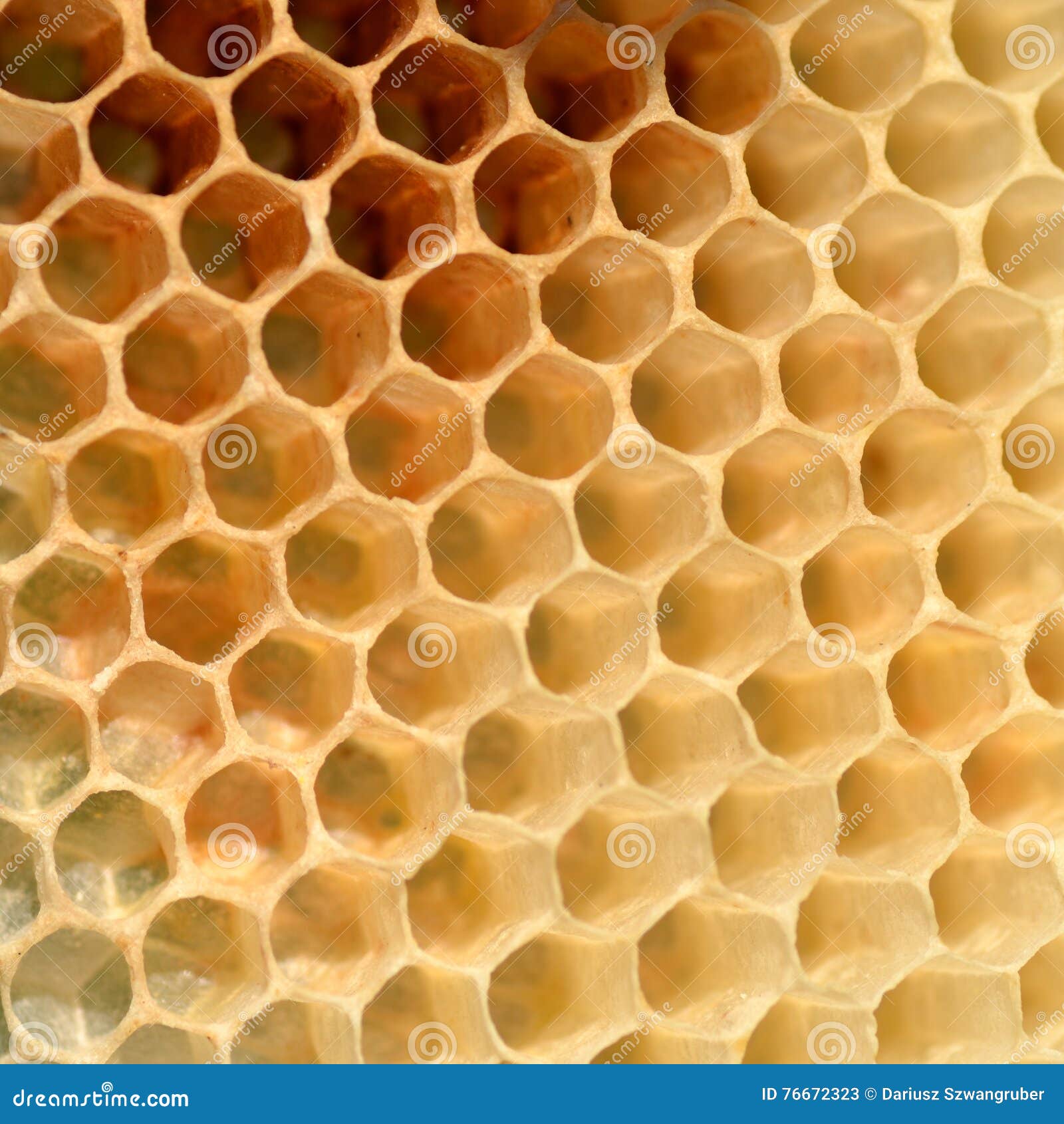 Natural stock image. Image of apiculture, pattern 76672323