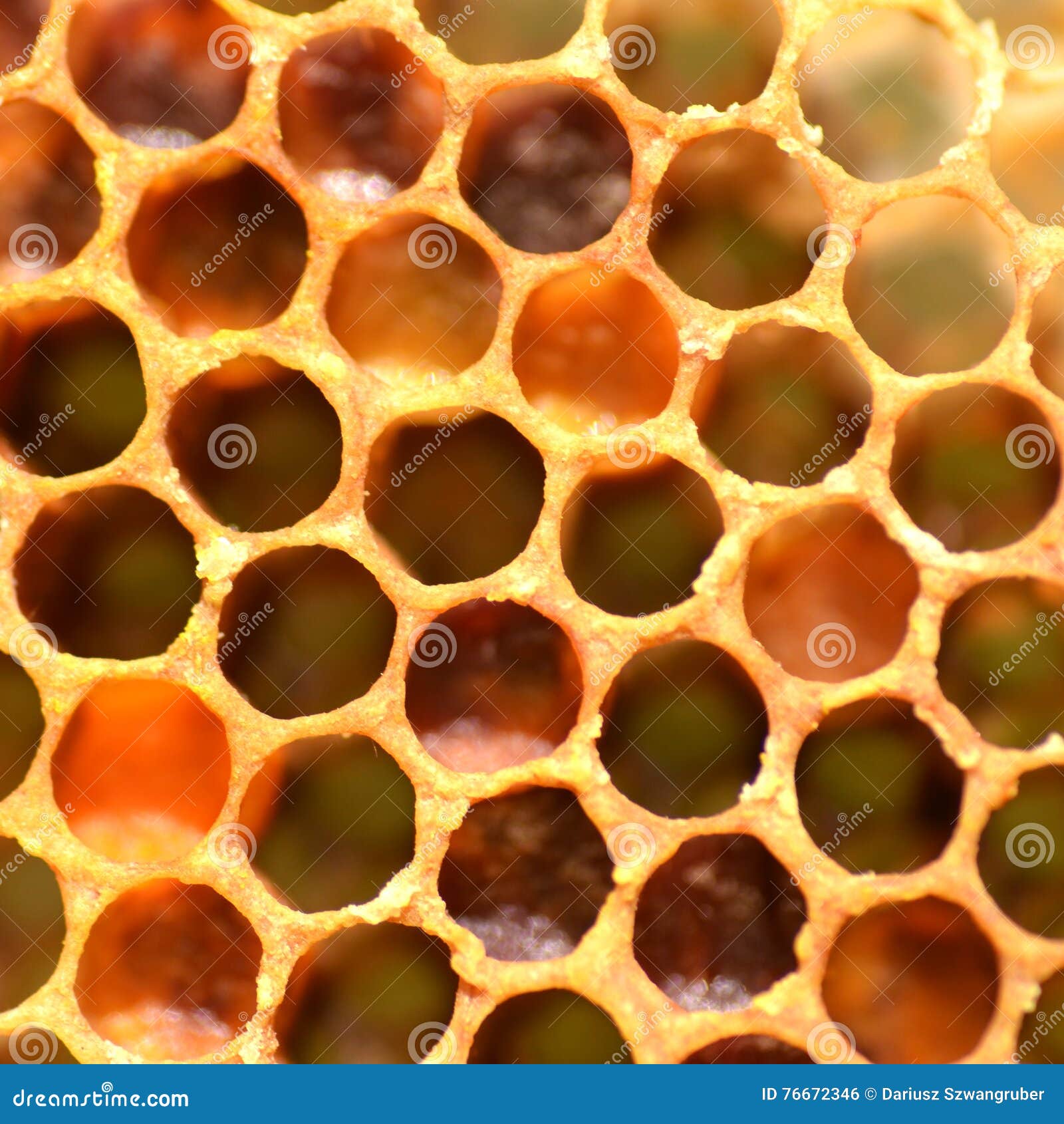 Natural stock photo. Image of beeswax, agriculture 76672346