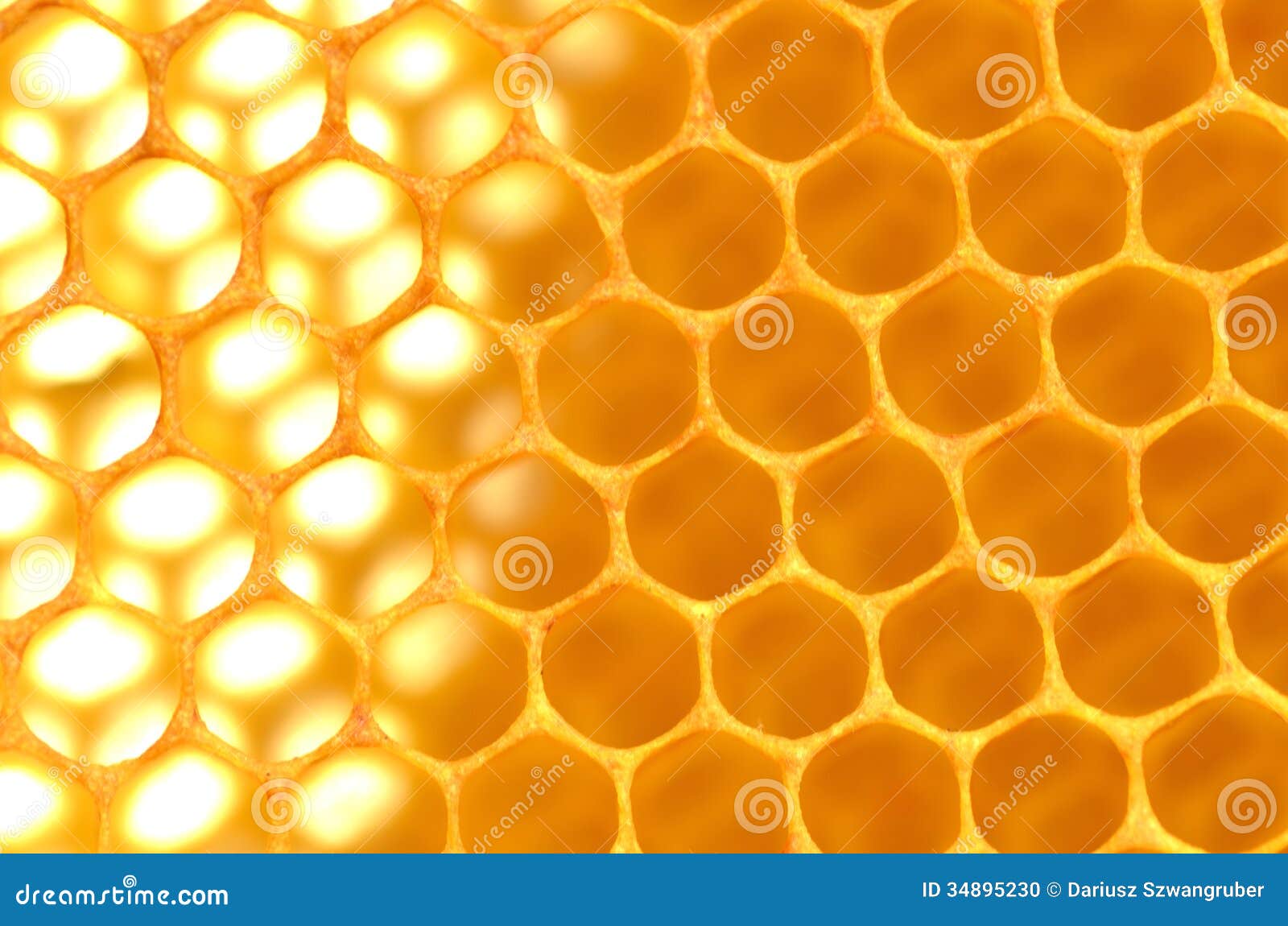 Natural honeycomb stock photo. Image of nature, hexagonal Natural honeycomb stock photo. Image of nature, hexagonal
