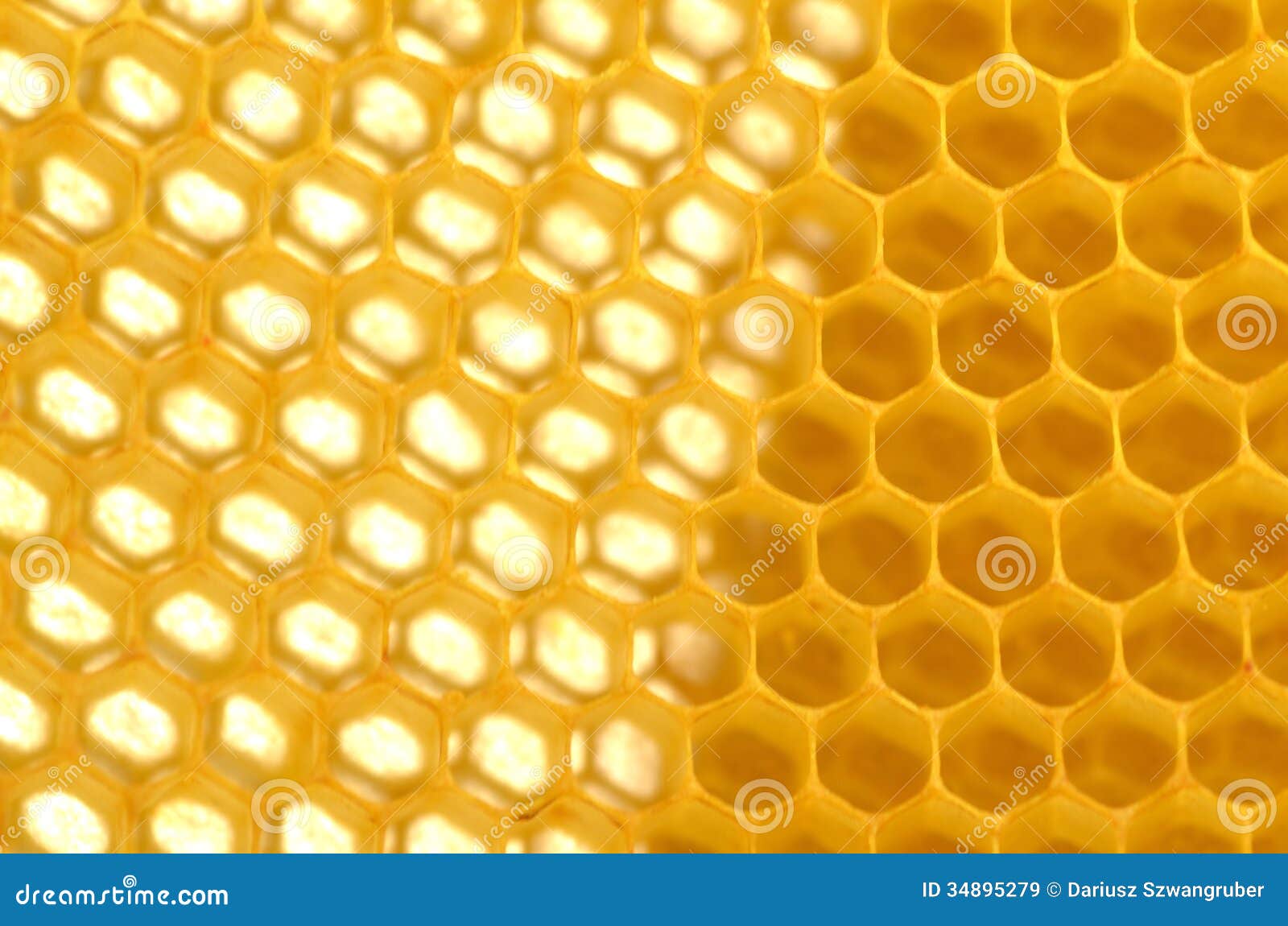 Natural stock image. Image of biology, beekeeping 34895279