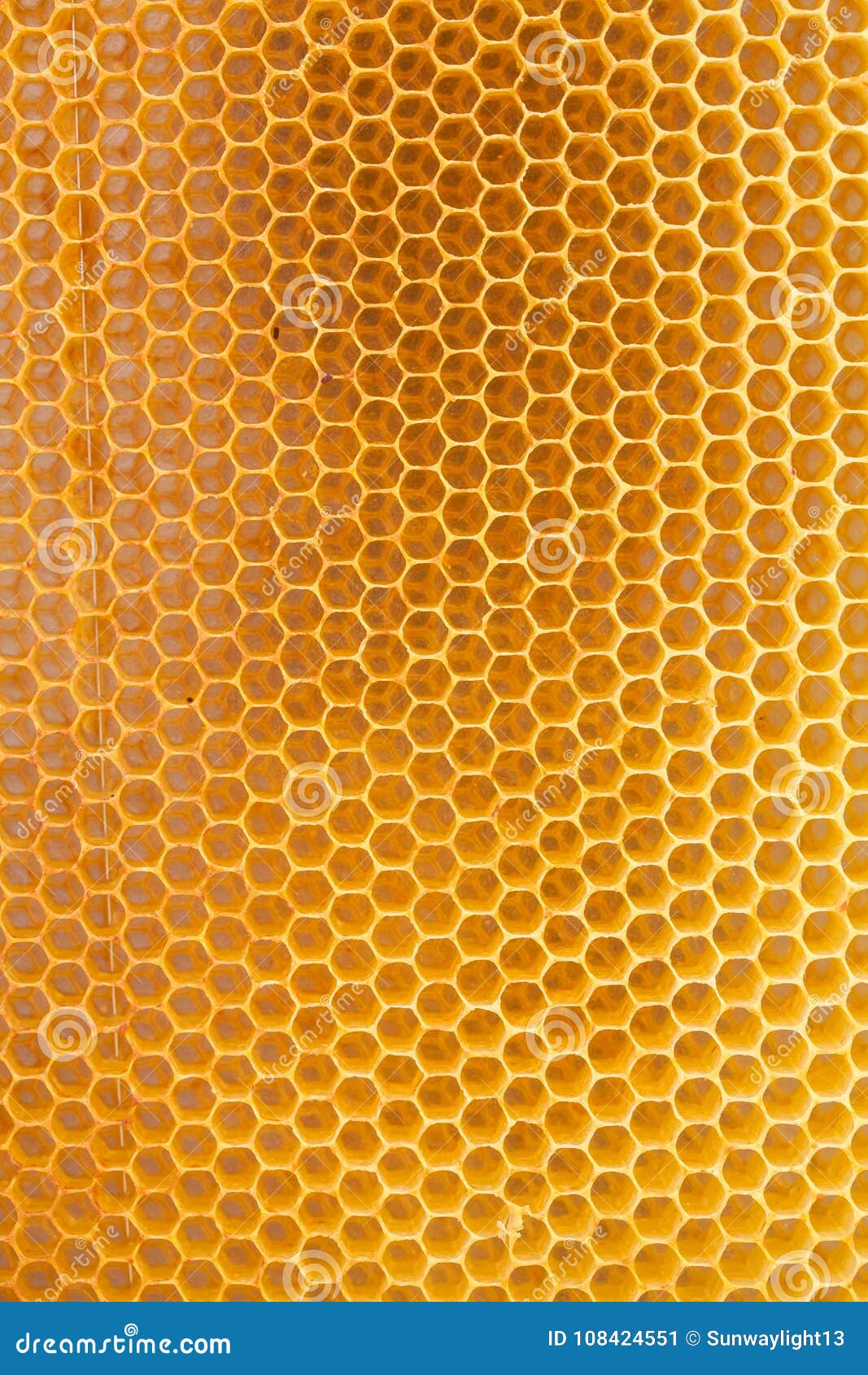 Natural texture stock image. Image of comb 108424551
