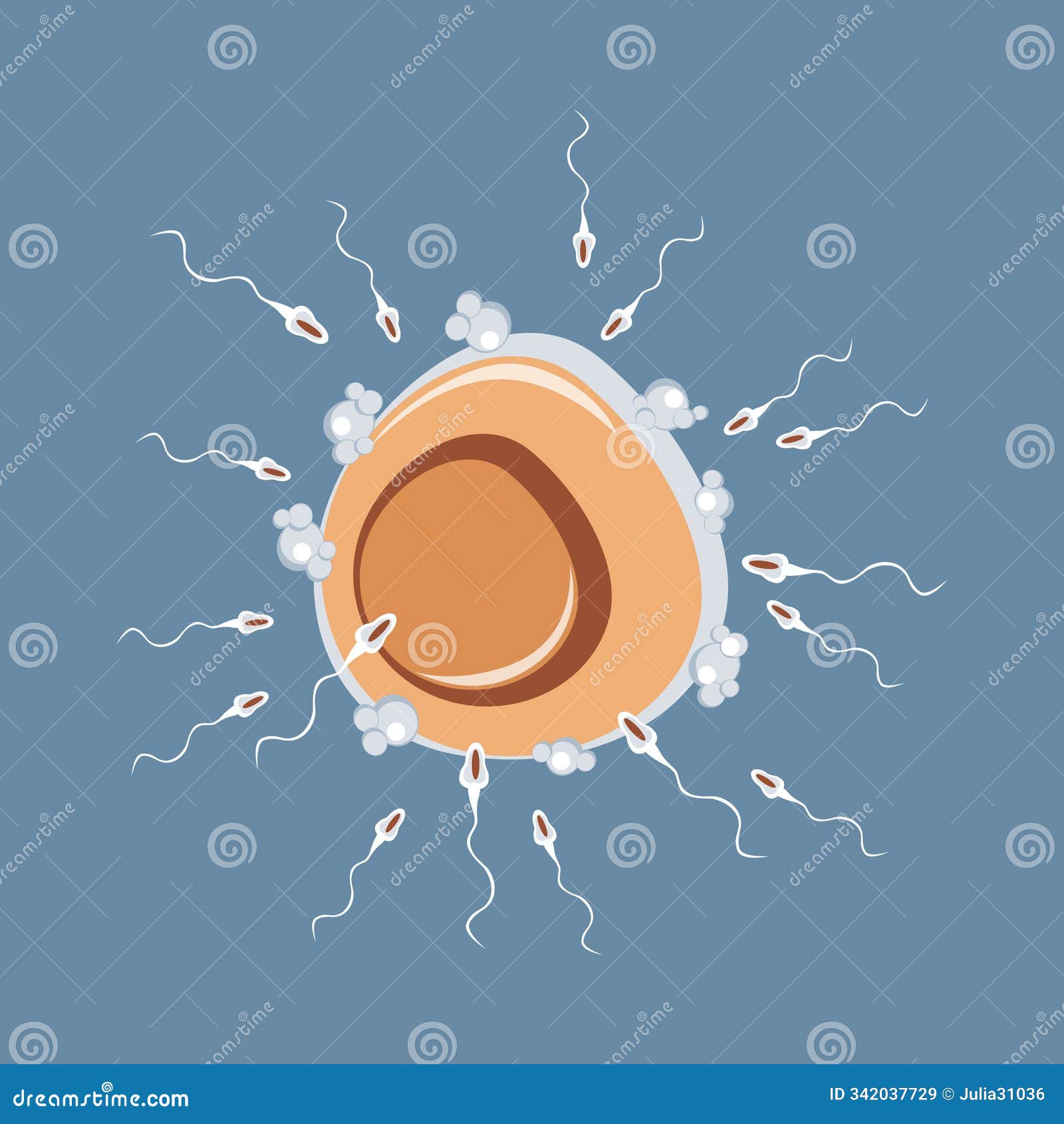 natural insemination of oocyte. many spermatozoa rush to egg