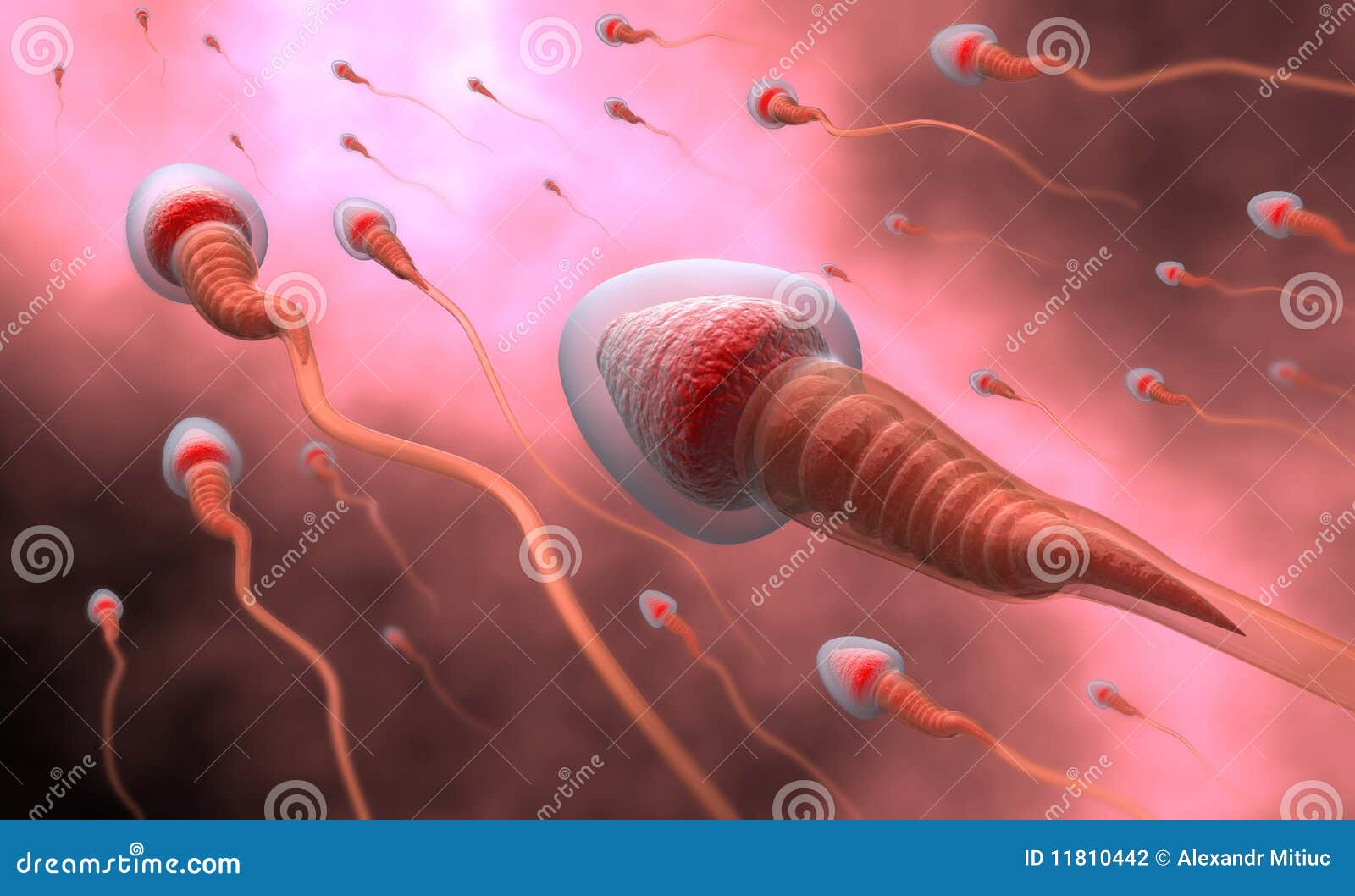 natural insemination - sperm