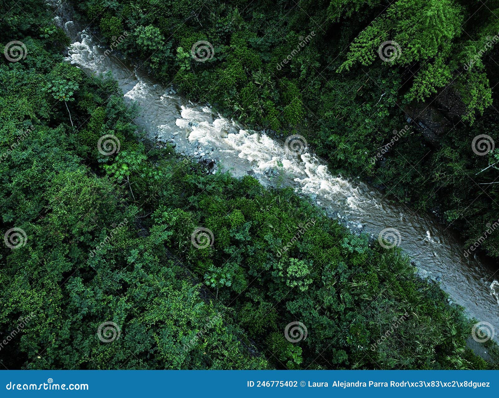 a natural landscape of a river among intense foliage. un paisaje natural de un rÃÂ­o entre un intenso follaje