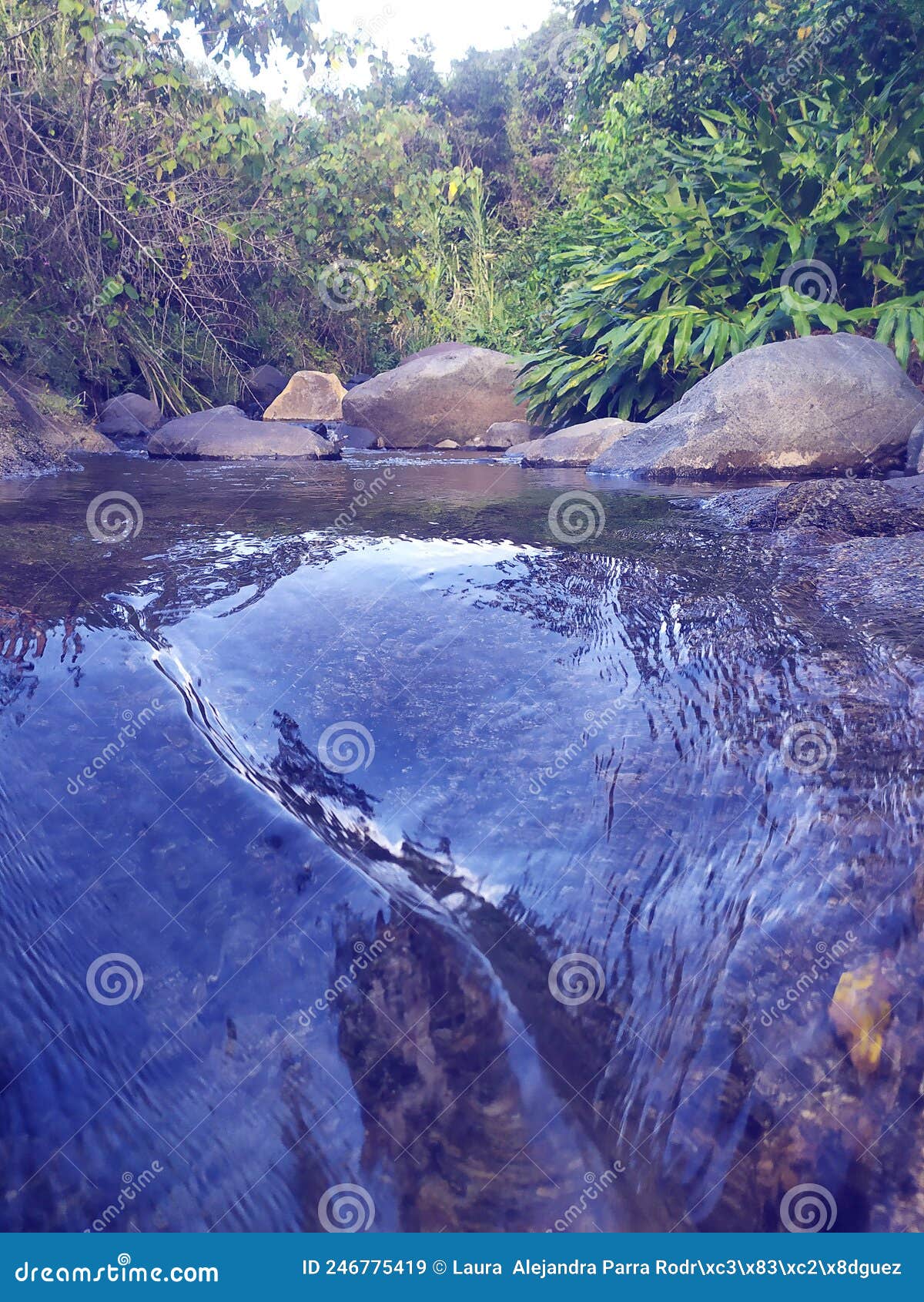 natural landscape with river and rocks. paisaje natural con rÃÂ­o y rocas