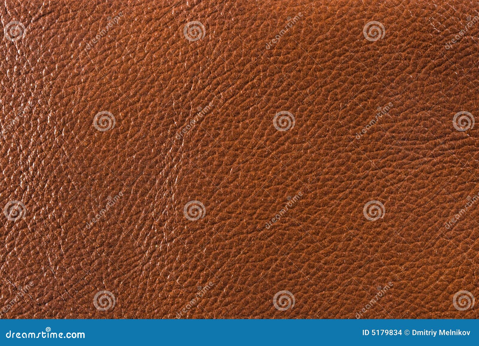 Natural leather texture stock photo. Image of cowhide 5179834
