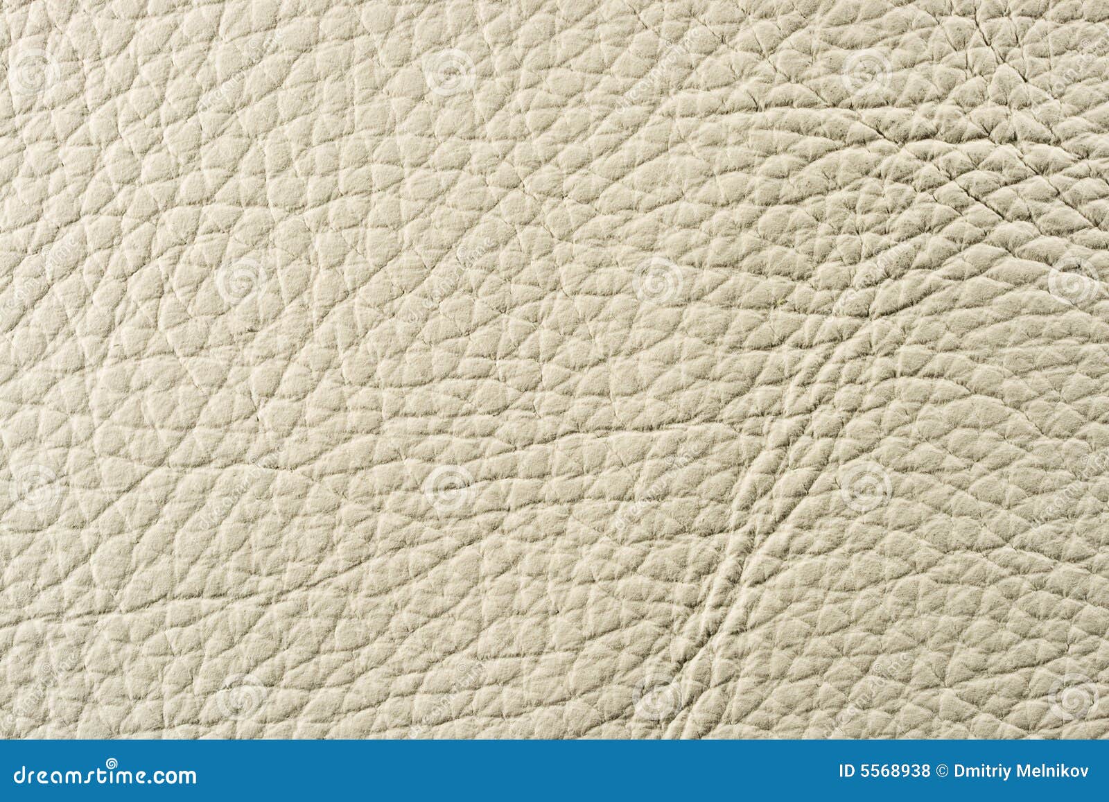 Natural leather texture stock photo. Image of surface - 5568938