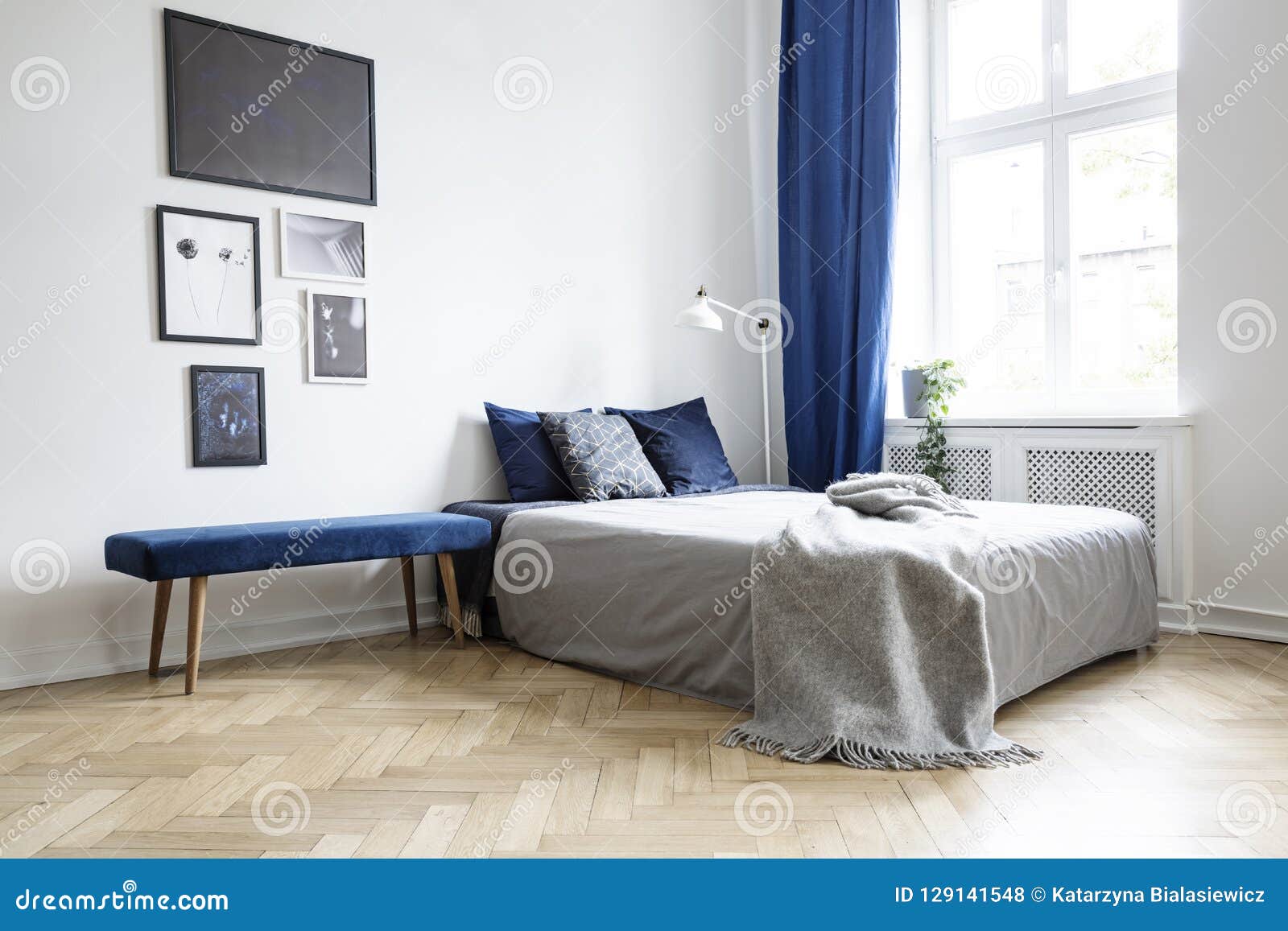 natural light coming through a large window into a white and navy blue bedroom interior with cozy bed and wooden floor