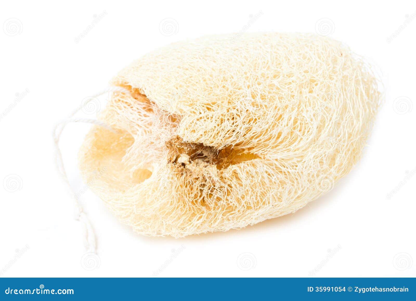 Natural Loofah Sponge. stock photo. Image of luff, detail 35991054