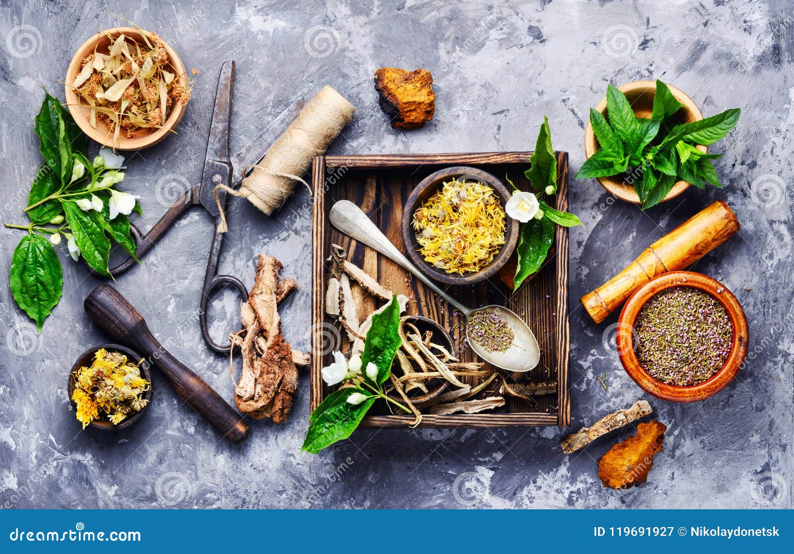 Natural Medicine, Herbs and Plant Stock Image - Image of nature, banner ...