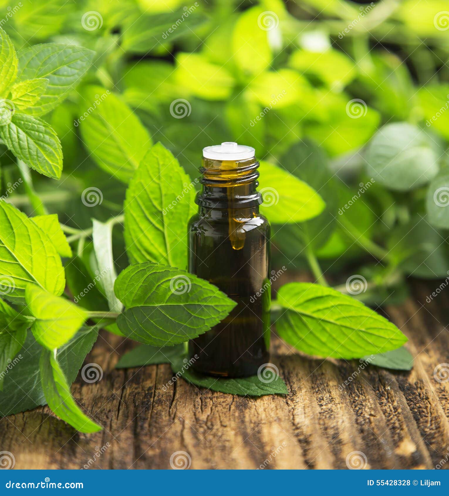 Essential Oil Essential and Chocolate with Mint Leaves Isolated