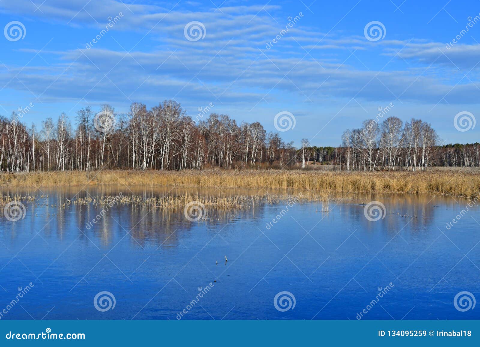 natural monument - lake uvildy and fragment of the village of the same name in late autumn in sunny weather, southern ural, chely