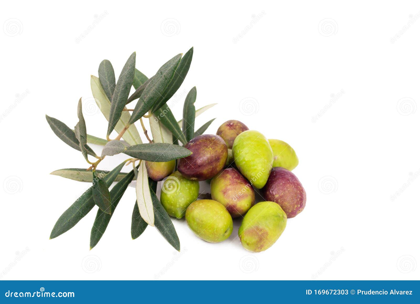 Natural Olives with Olive Leaves Stock Image Image of mediterranean