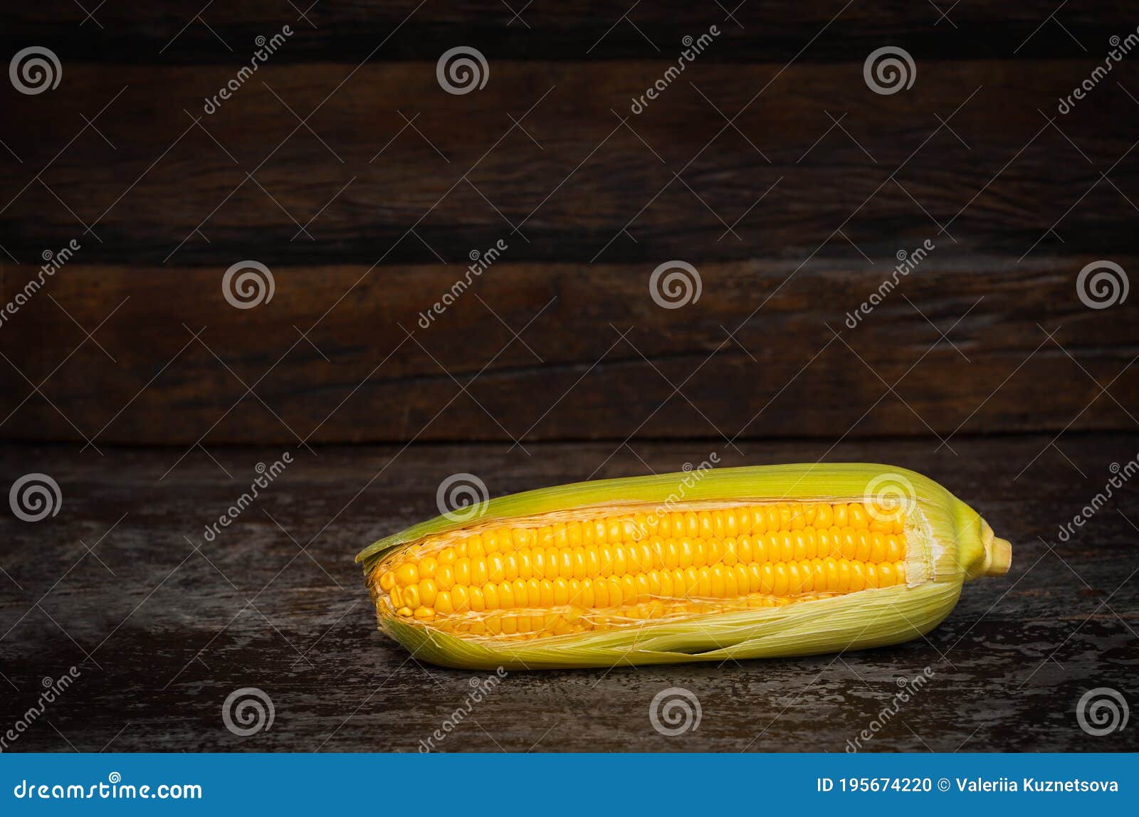 Natural One Ear of Corn. Harvest Stock Photo Image of food, closeup