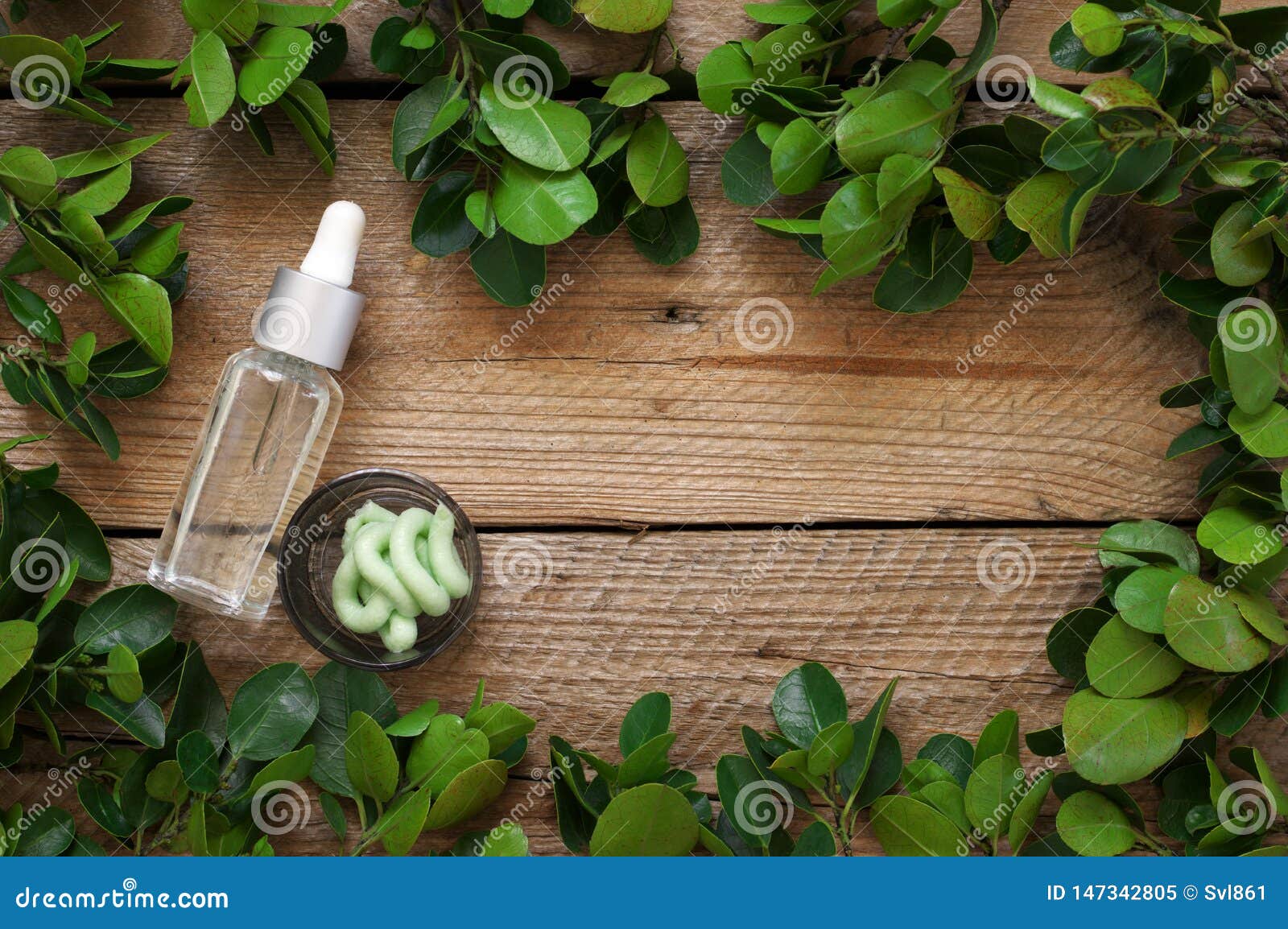 Natural Organic Cosmetics and Greenery Stock Image Image of homemade