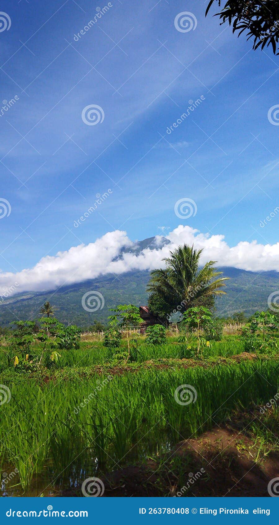 natural panorama in pagar alam city