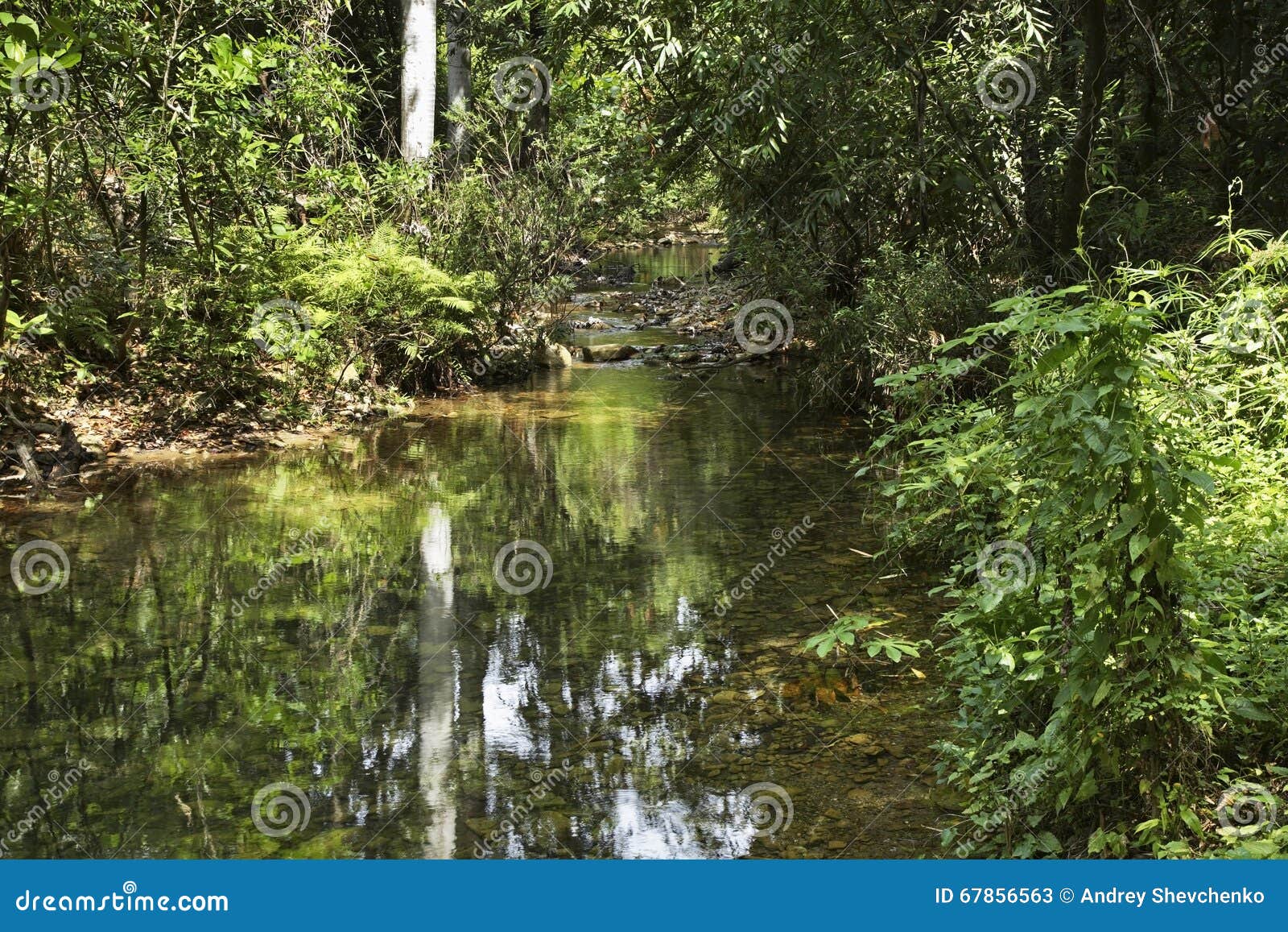 natural park el cubano. cuba