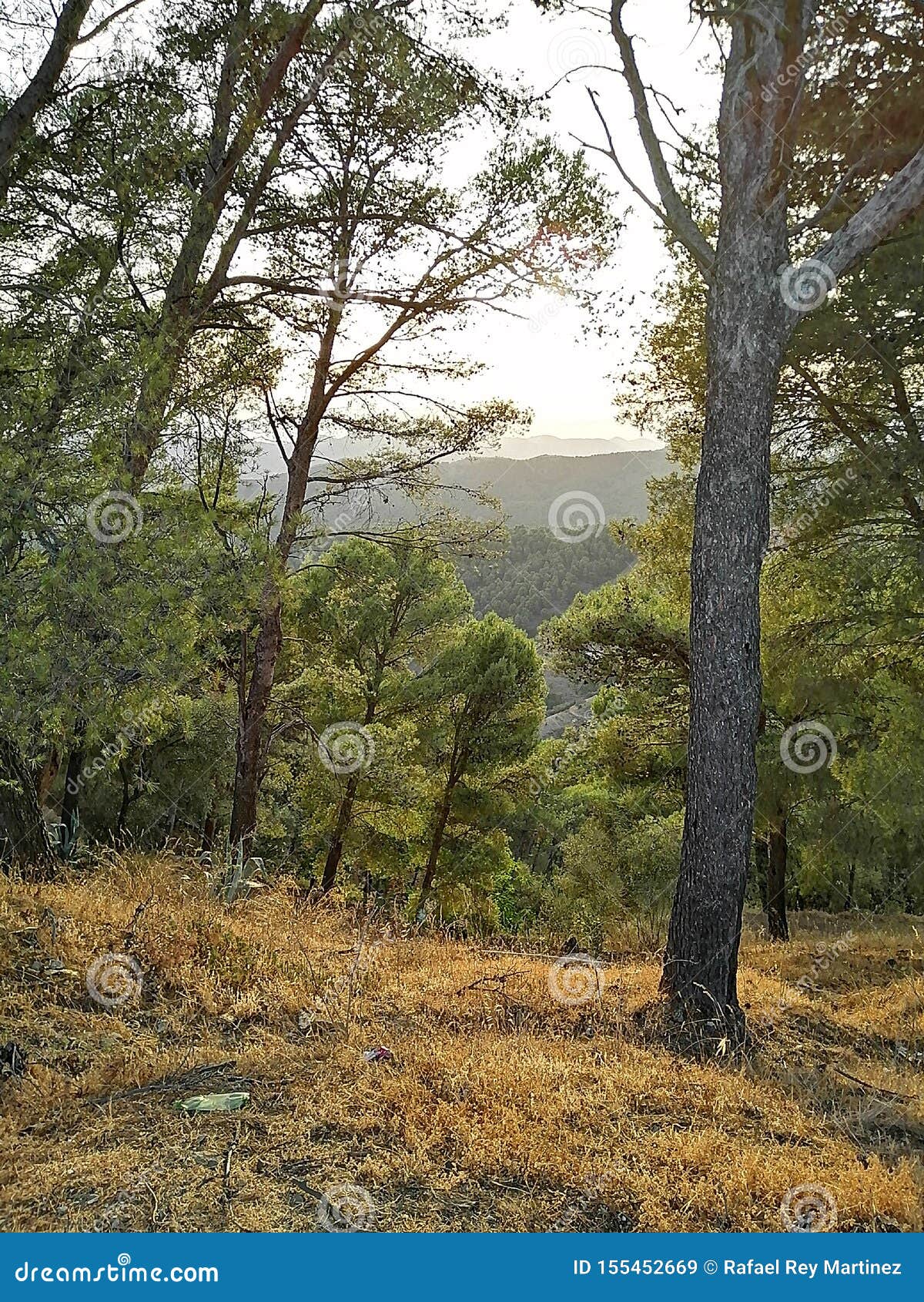 natural park-montes de malaga